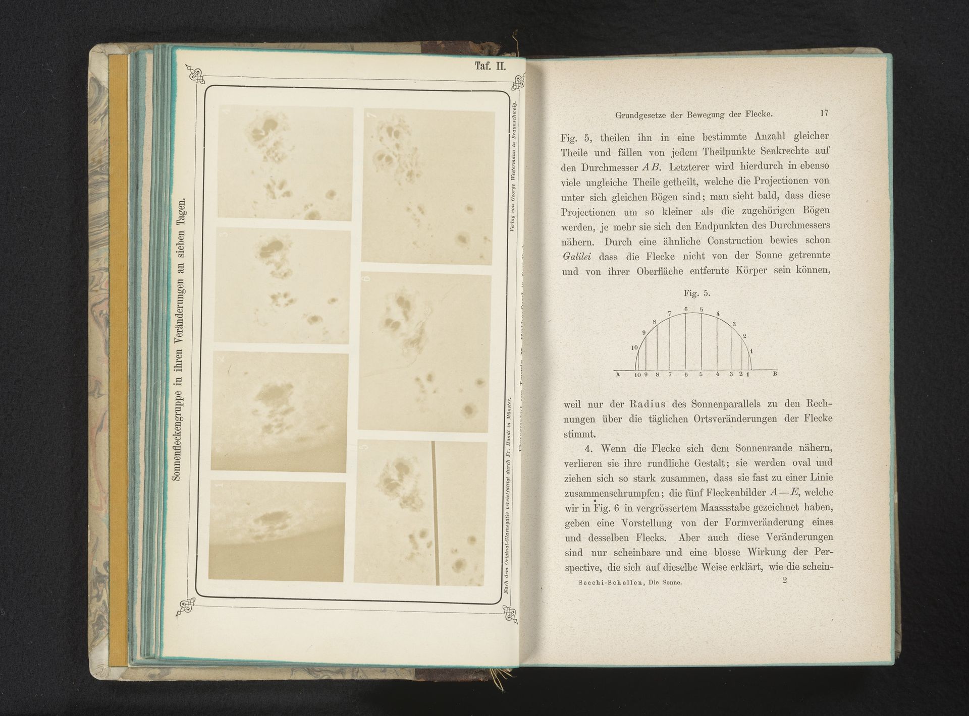 Verandering van een cluster zonnevlekken gedurende zeven dagen by Lewis M. Rutherford