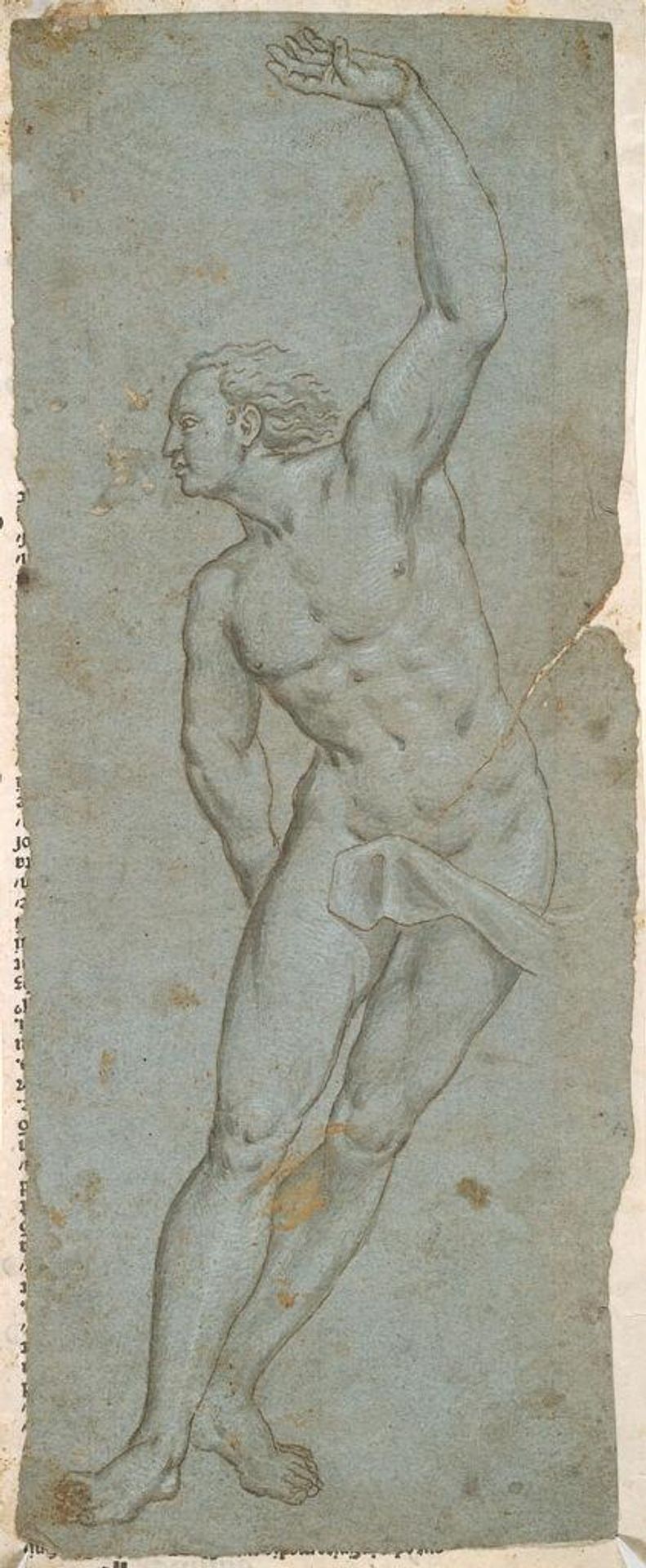 Saint Sebastian by Giovanni Antonio Licinio, call Il Pordenone