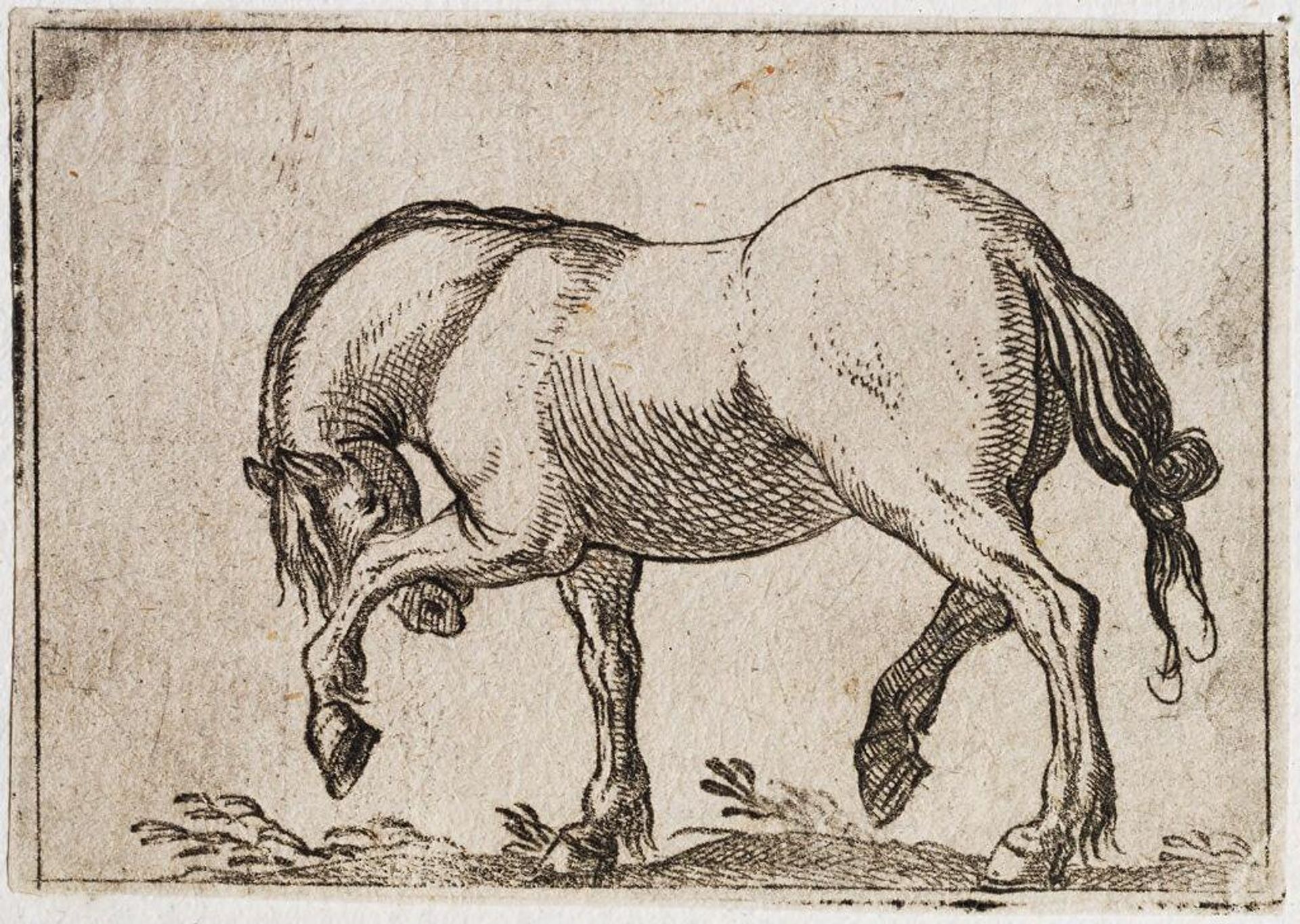 Pawing Horse Facing Left by Antonio Tempesta