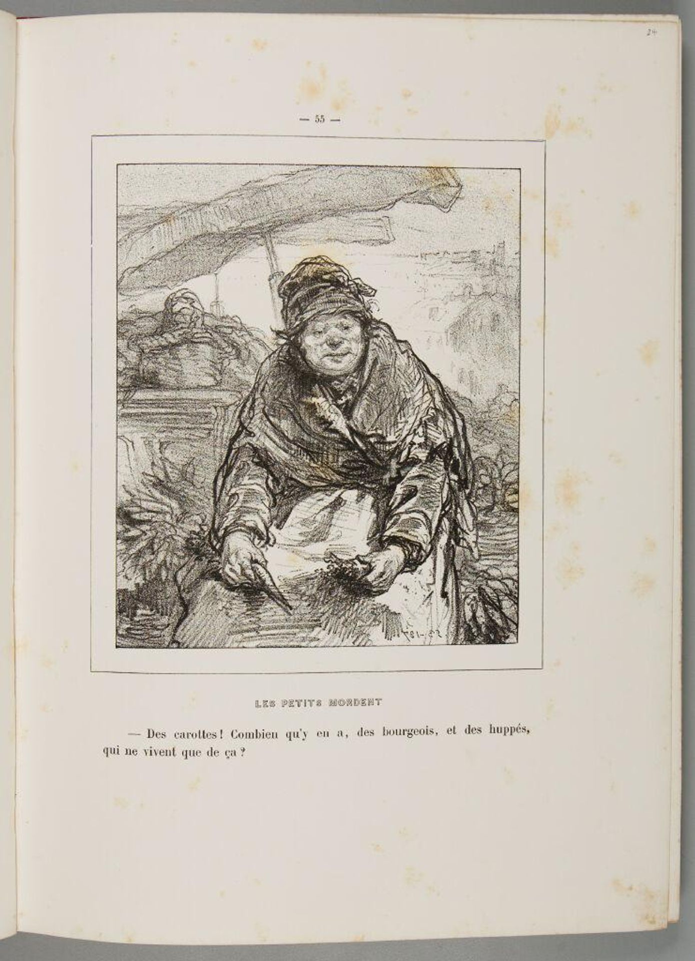 Carrots!  How many are there, of the Bourgeois and the Crested Birds that live only on them?, p. 55. by Paul Gavarni