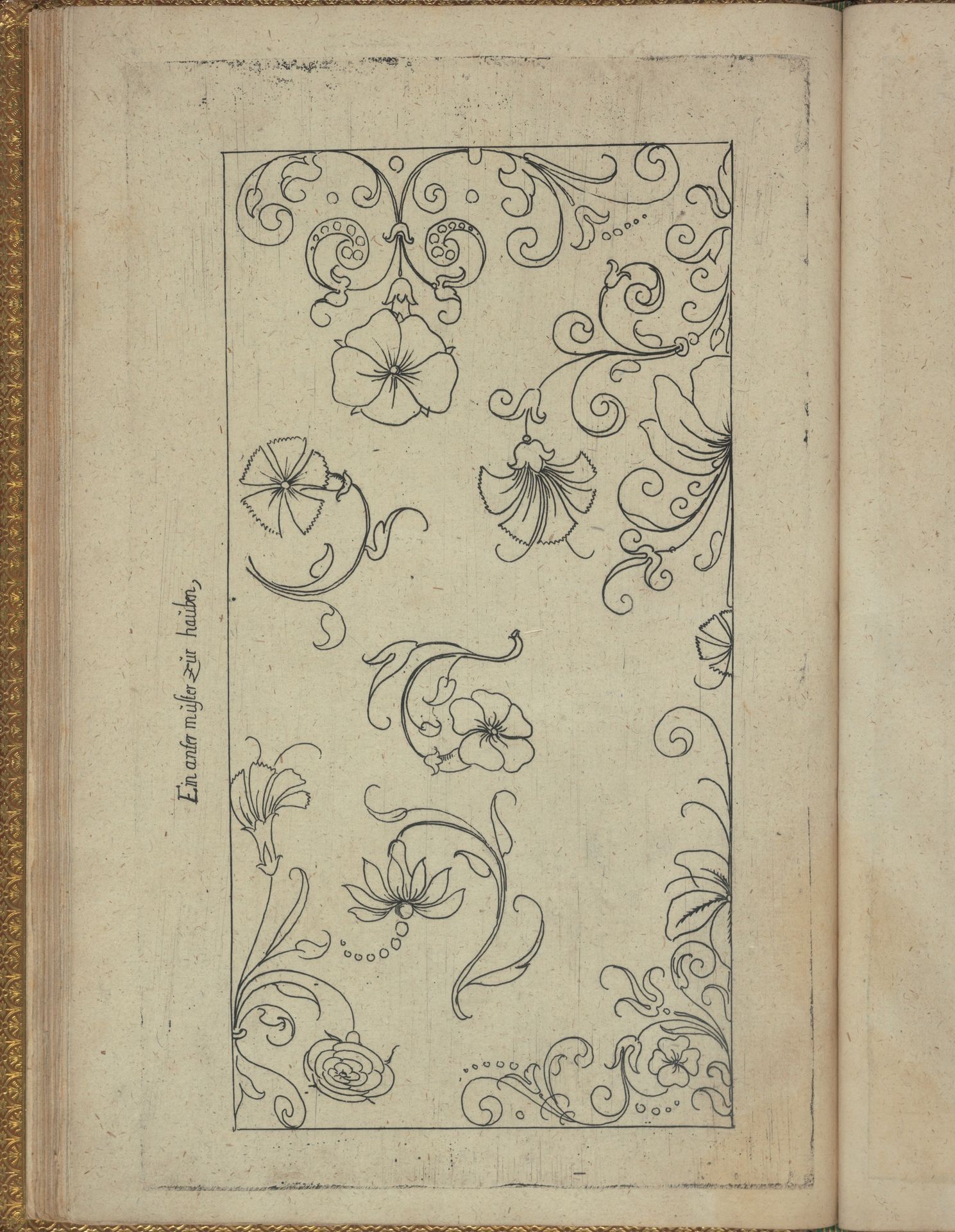 New Modelbüch (Page 47v) by Andreas Bretschneider