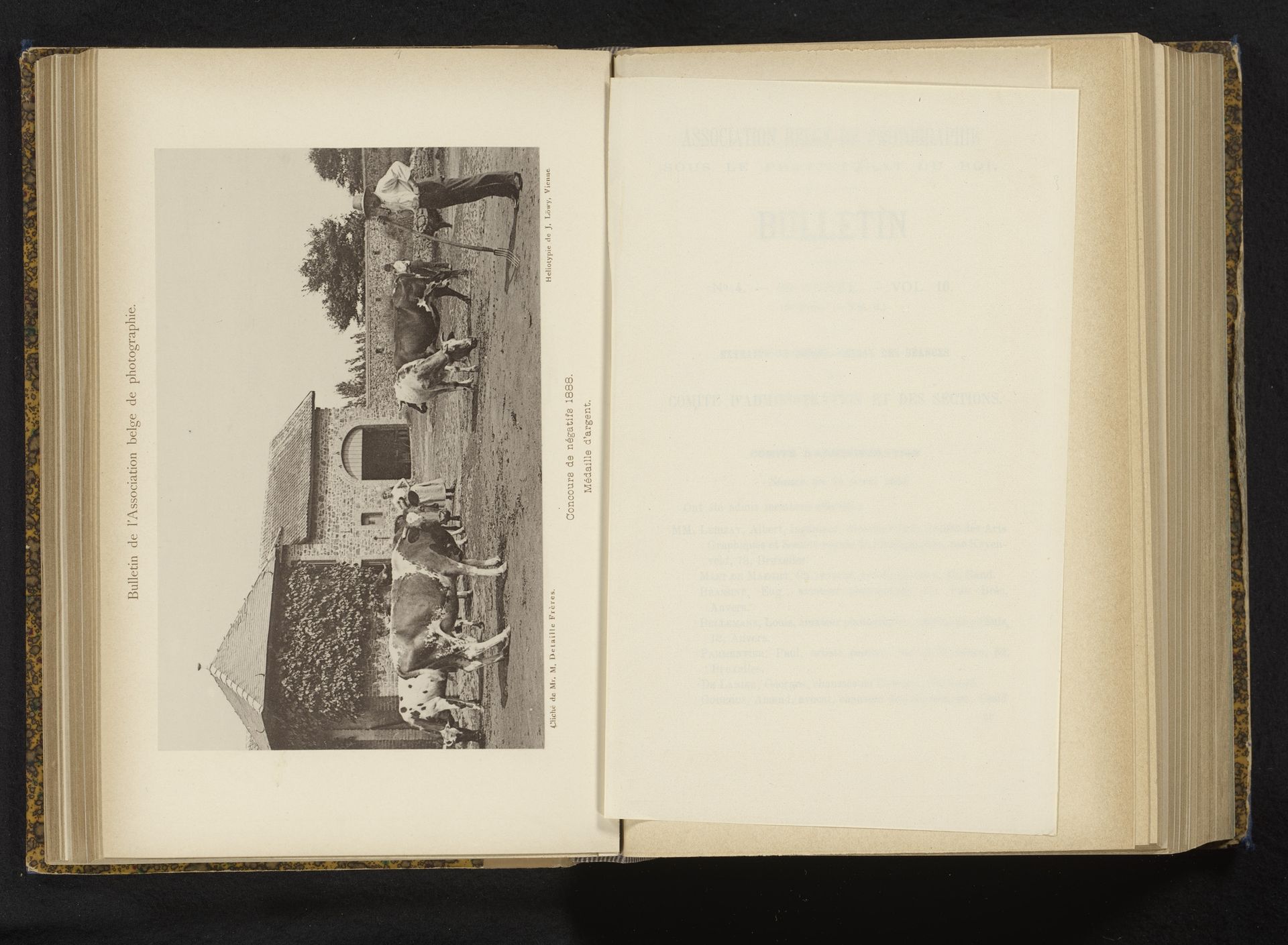 Boer, boerin en koeien voor een boerderij by Detaille Frères