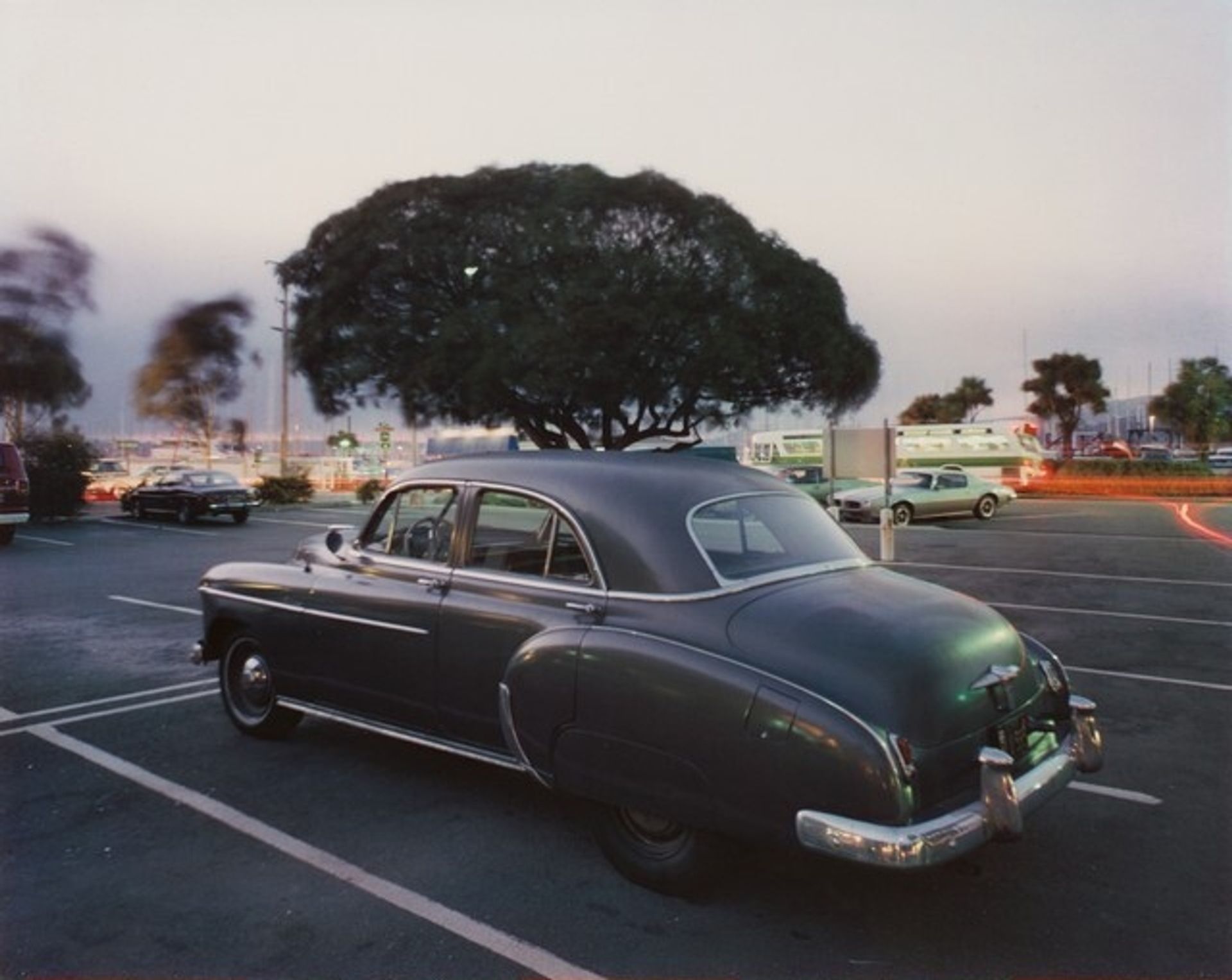Sausalito, CA by Joe Maloney