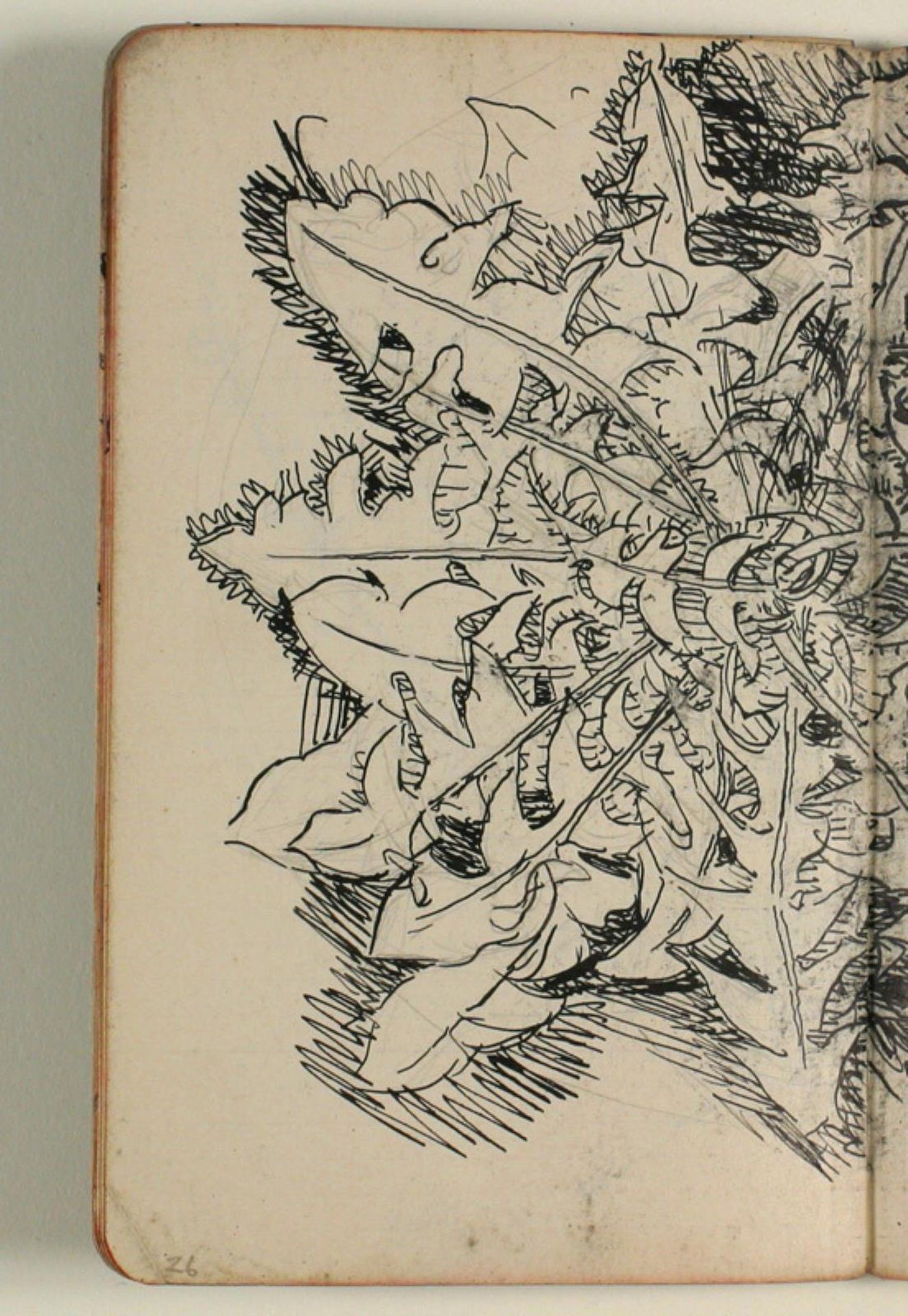 Plantestudie by Niels Larsen Stevns