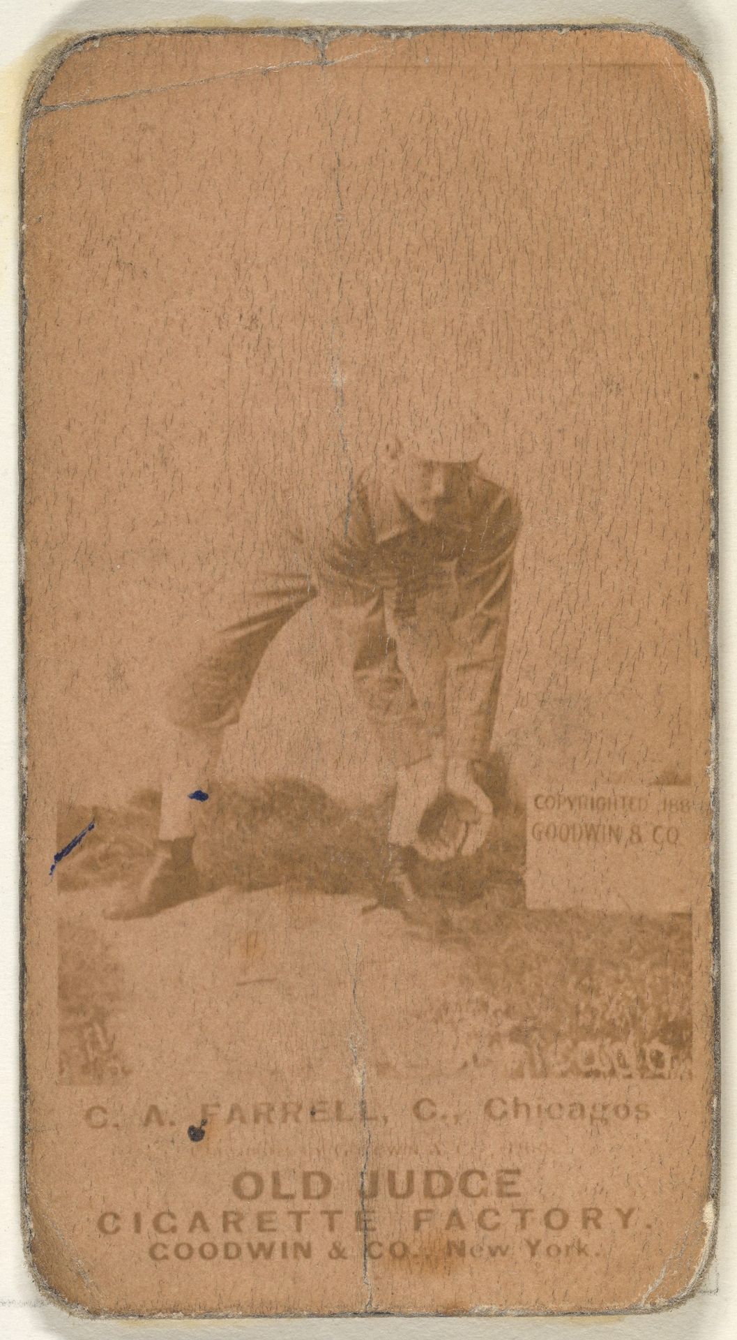 Charles Andrew "Duke" Farrell, Catcher, Chicago, from the Old Judge series (N172) for Old Judge Cigarettes by Goodwin & Company