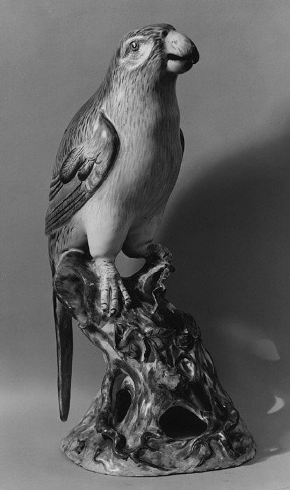 Parrot by Johannes Zeschinger