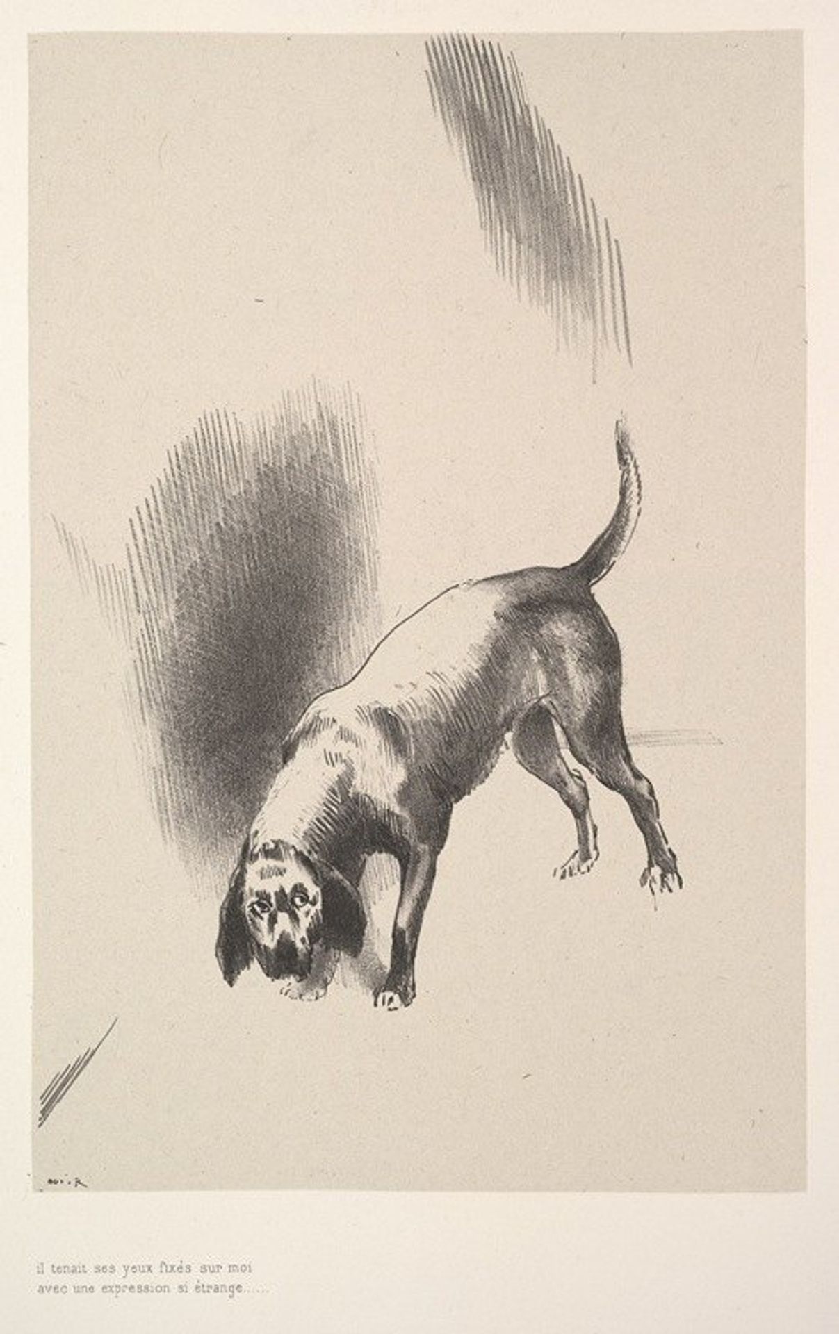 He fixed his eyes on me with an expression that was so strange by Odilon Redon