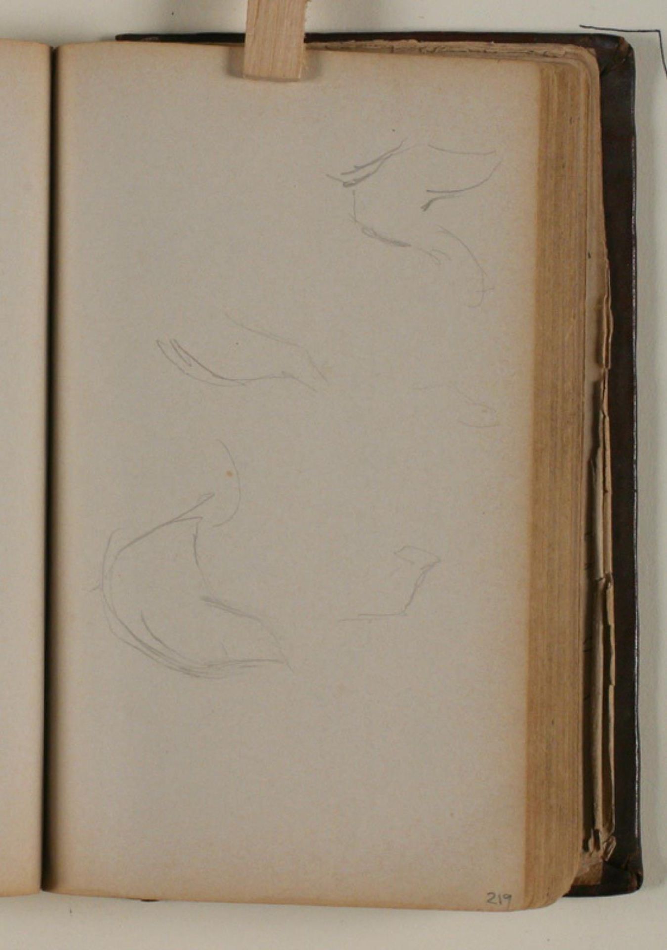 Studier af fugle by Niels Larsen Stevns
