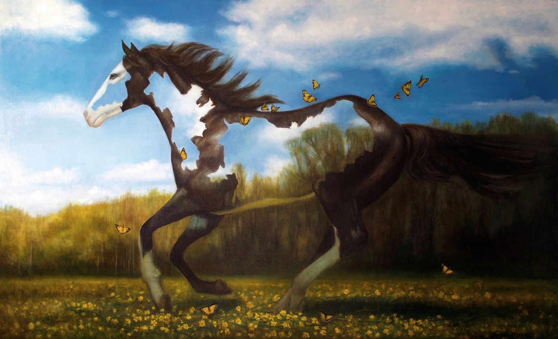 This Is Not A Horse by Rose Freymuth-Frazier