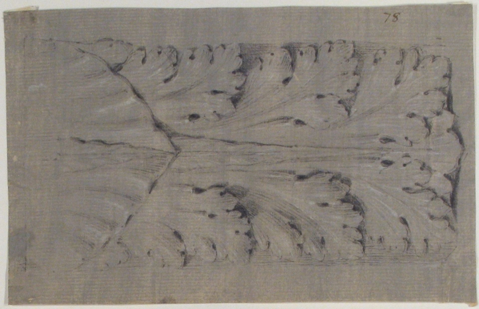 Design for a Leaf Motif by Anonymous