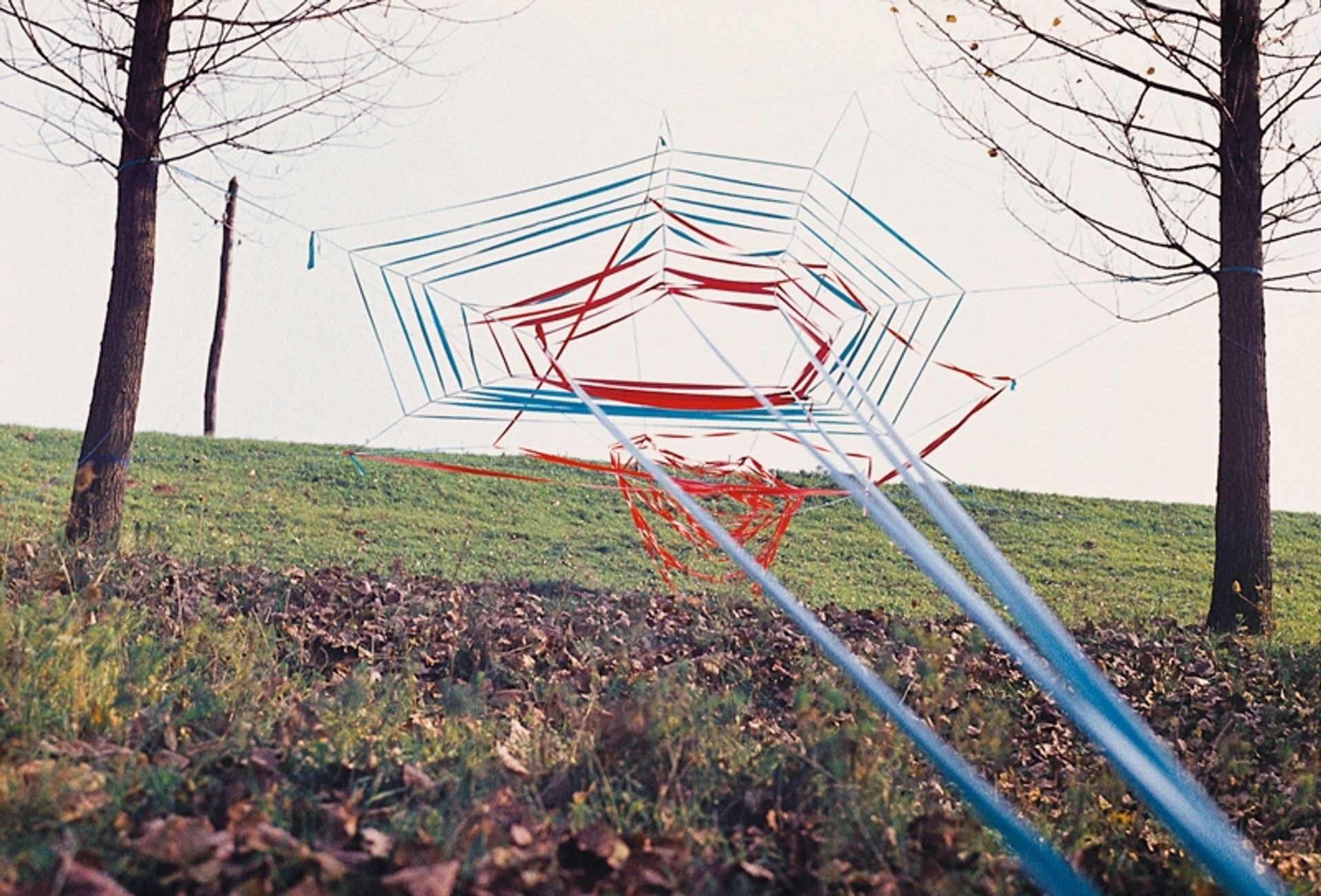 Ephemeral Netting by Constantin Flondor