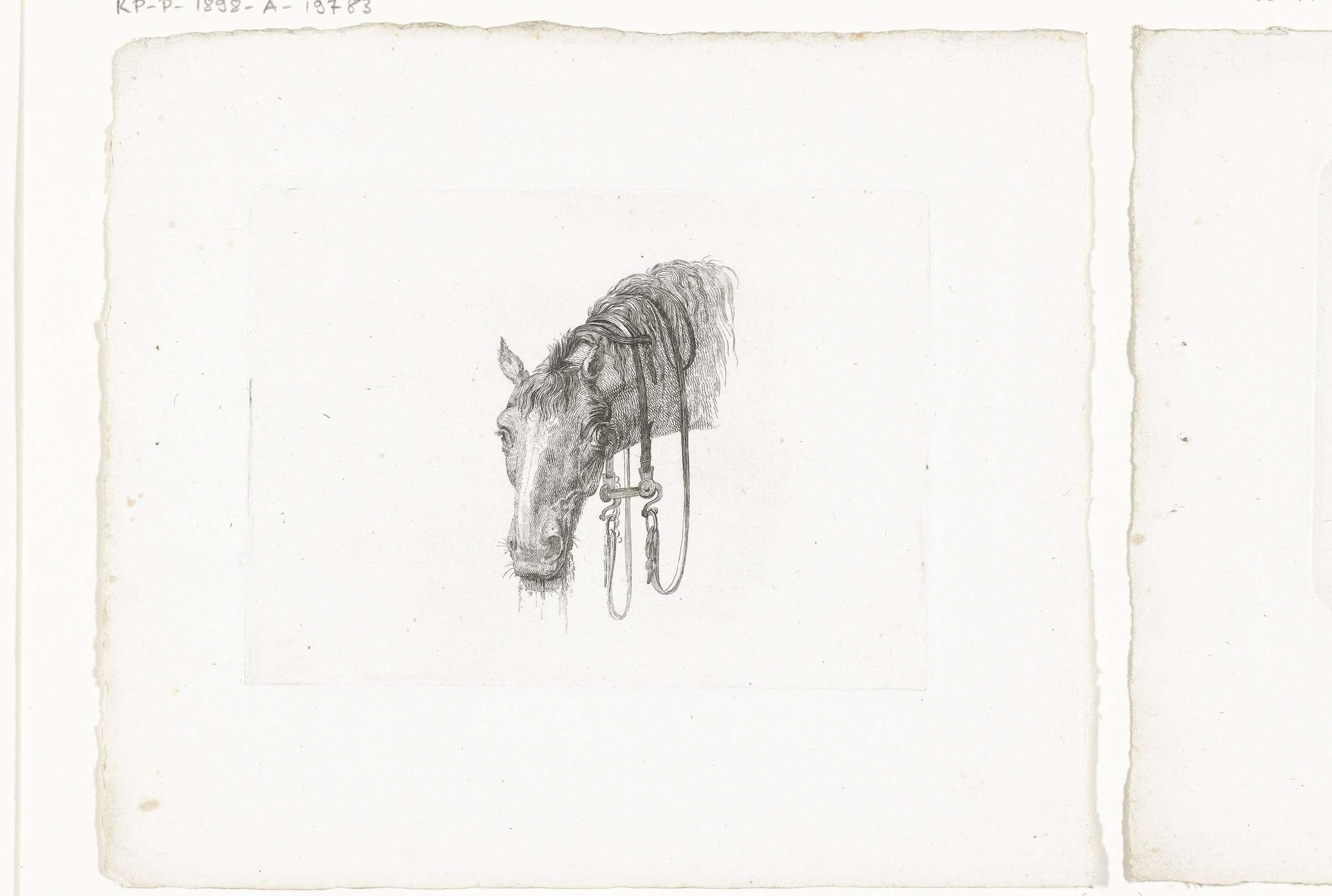 Paardenhoofd met hangende leidsels, van voren gezien by Joannes Bemme