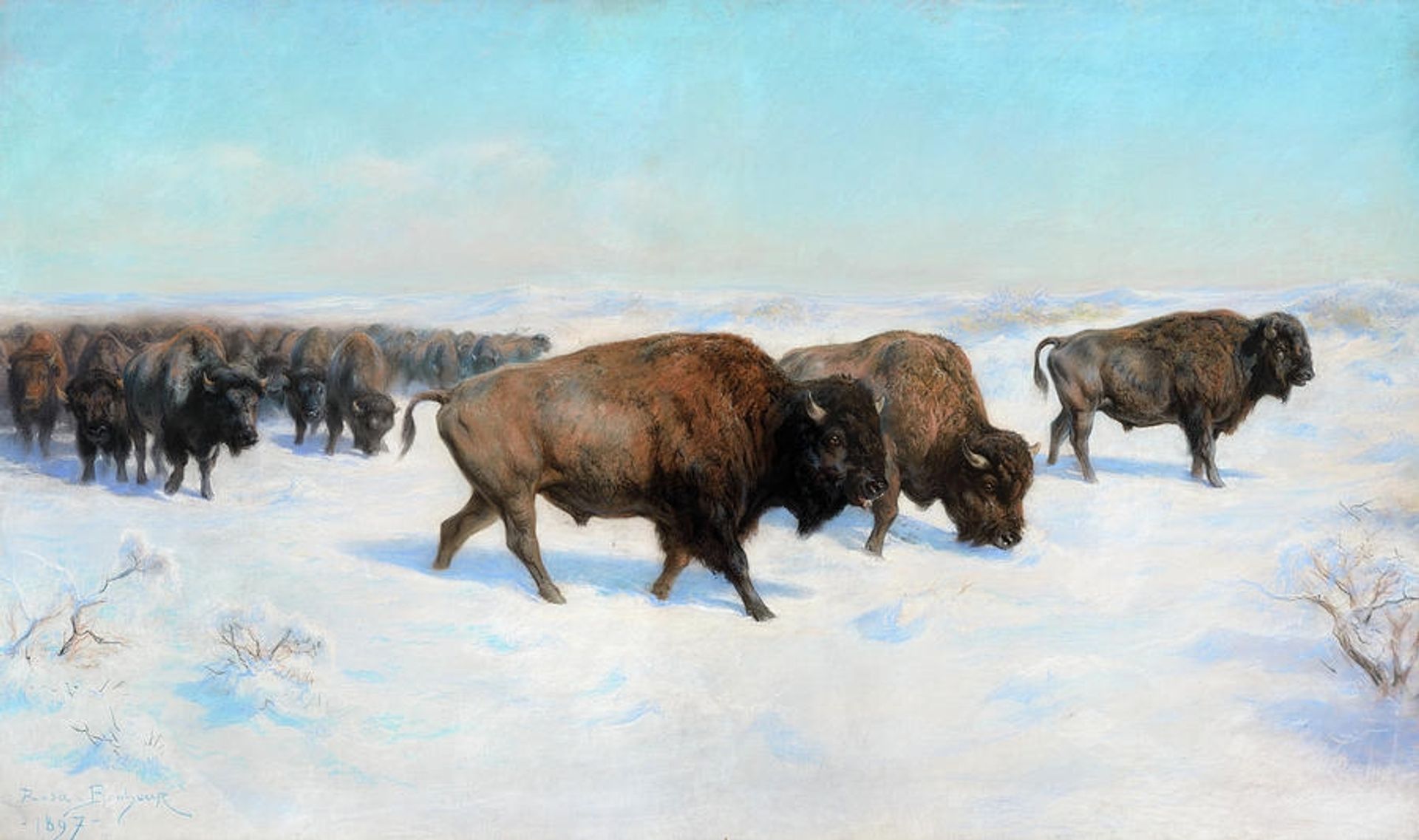 Bison in the Snow by Rosa Bonheur