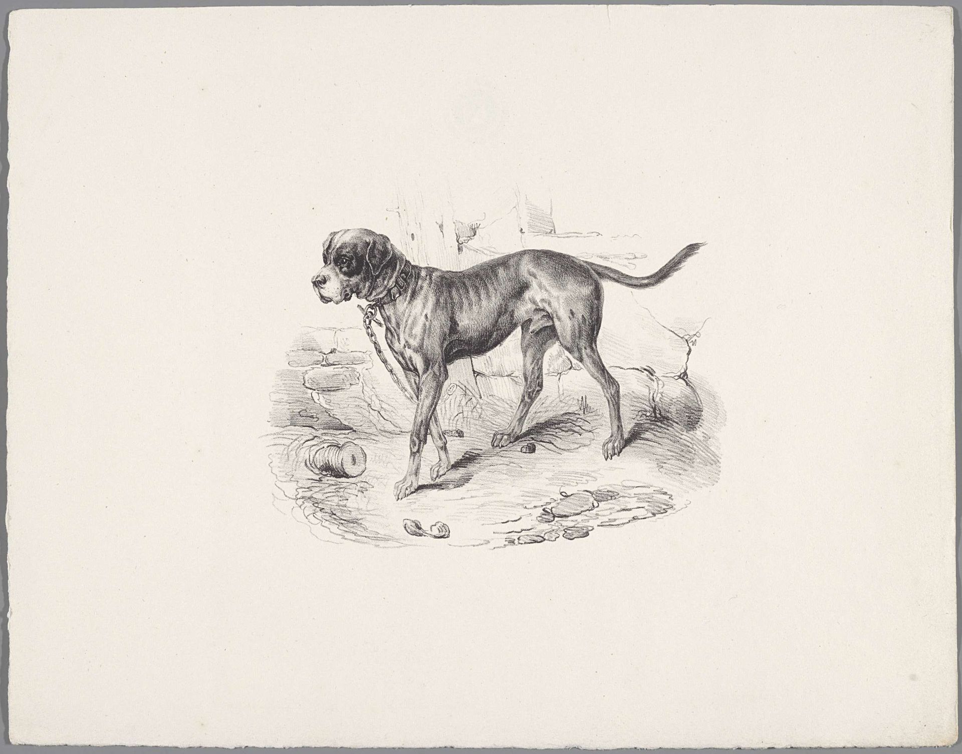 Hond aan een ketting by Anonymous