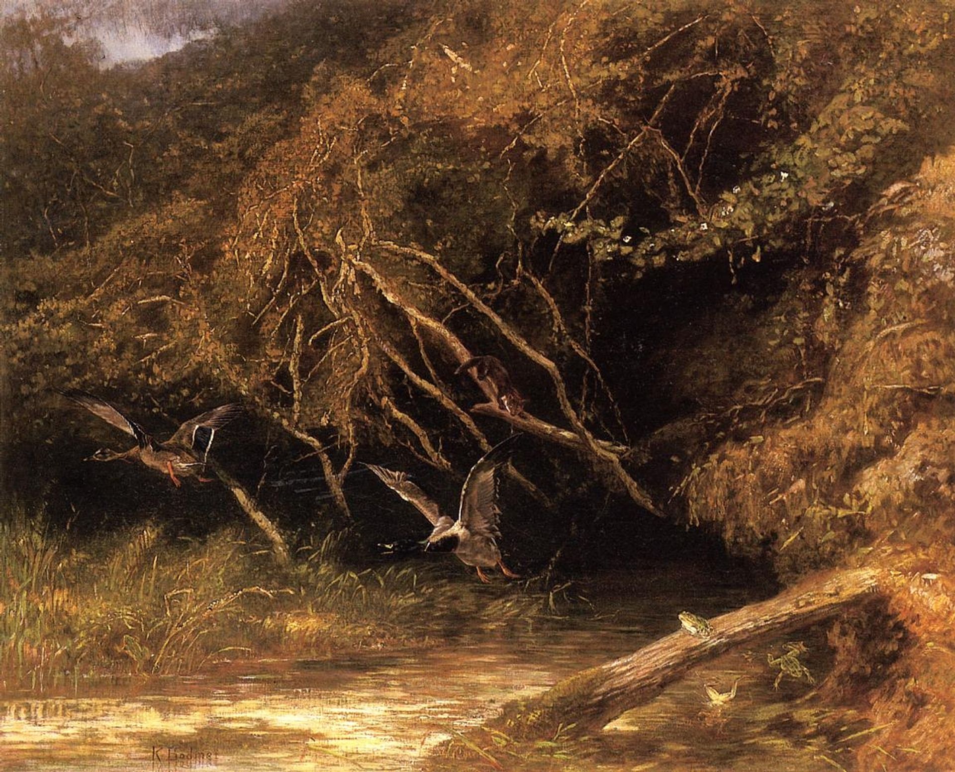 Forest with Ducks and Frogs by Karl Bodmer