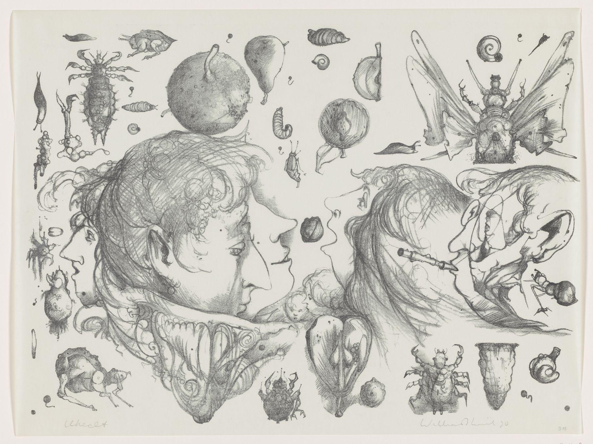 Winkelmans plantage by Dirkje Kuik
