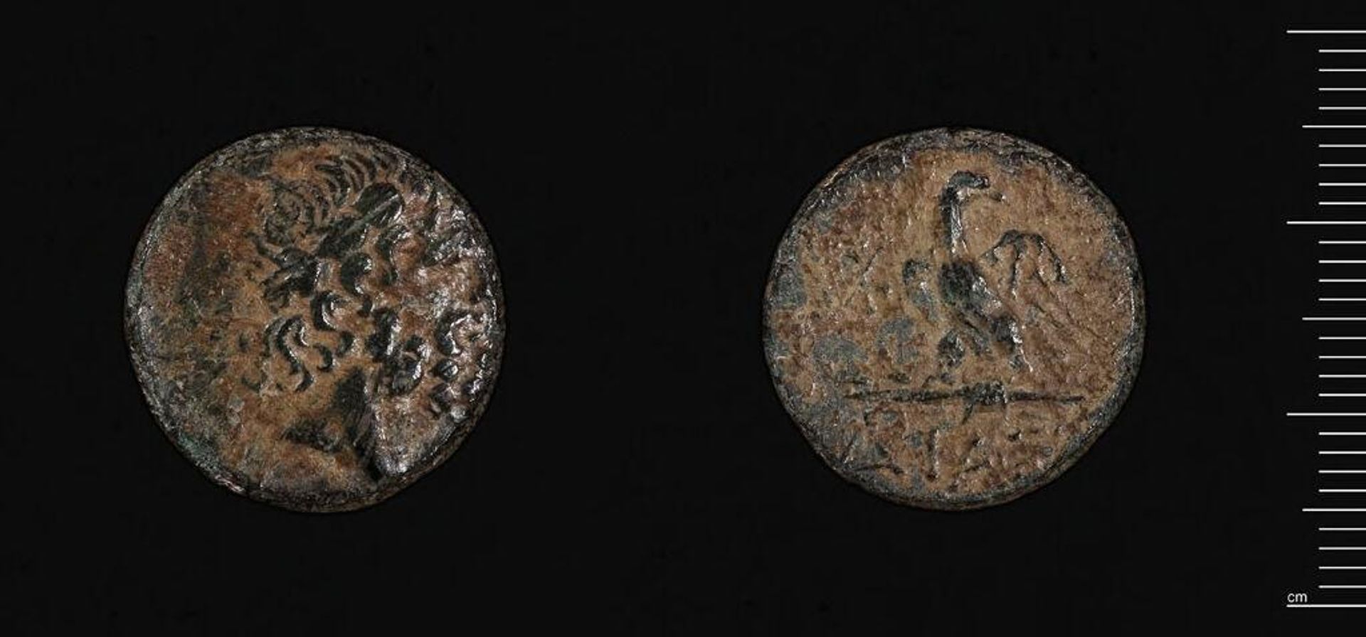 Coin of Dia, Time of Mithridates VI by Mithradates VI Eupator
