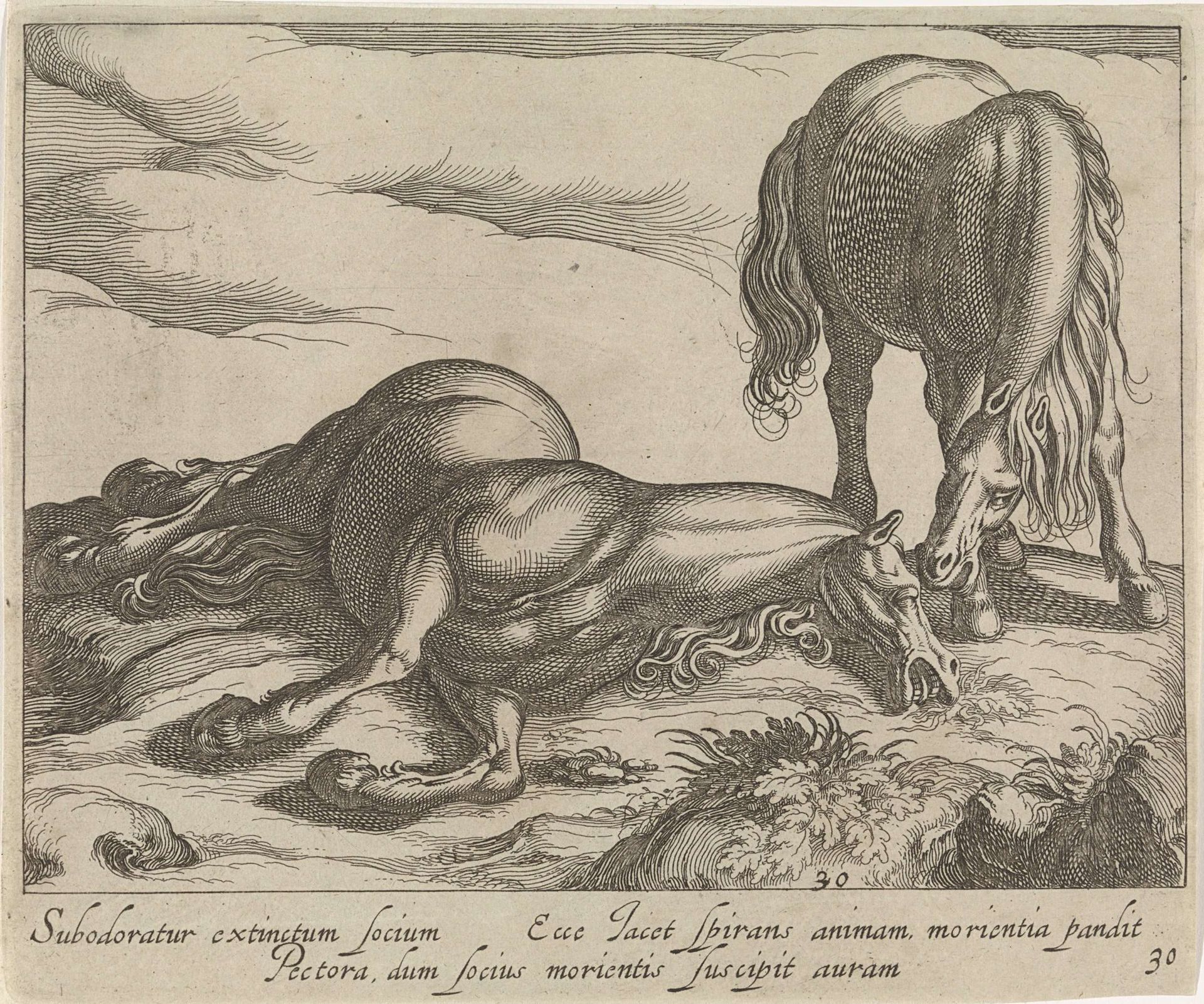 Landschap met dood paard by Egbert Van Panderen