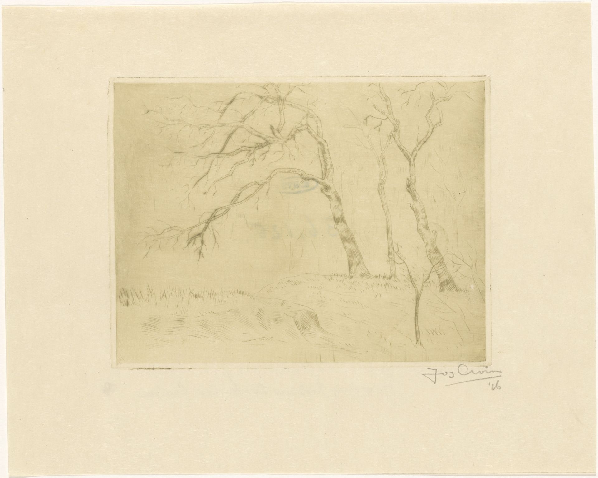 Kale bomen in het gras by Jos Croïn