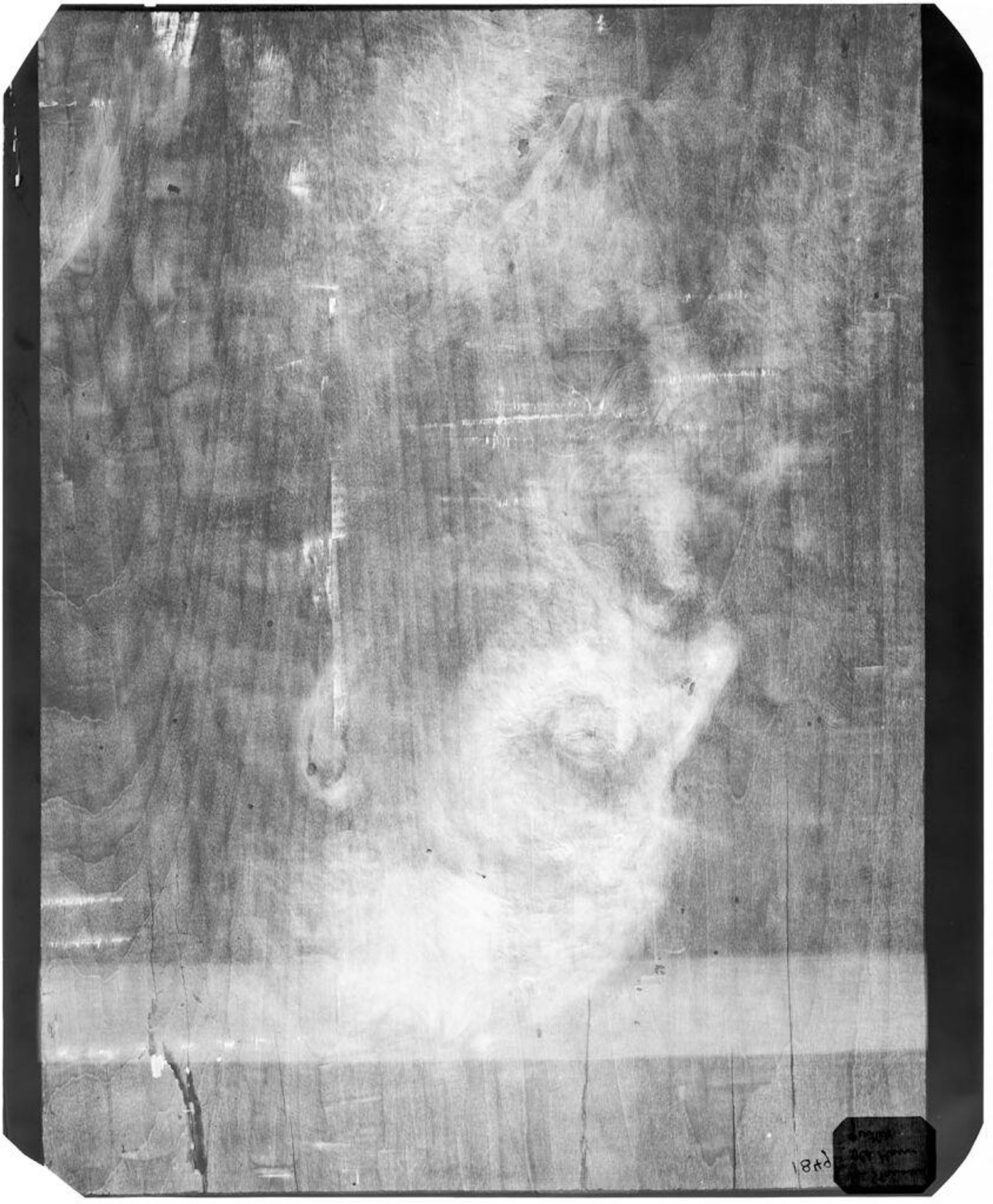 X-radiograph(s) of "Head of Old Man" by Artist of original: (?) Jan Adriaensz. van Staveren