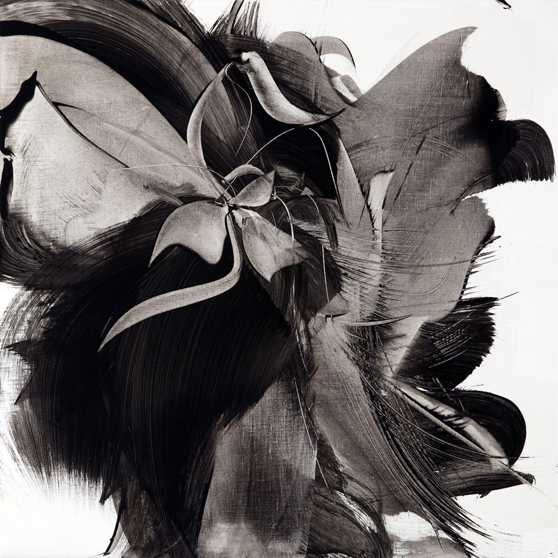 Untitled (from Collection Resonance) by Monique Orsini
