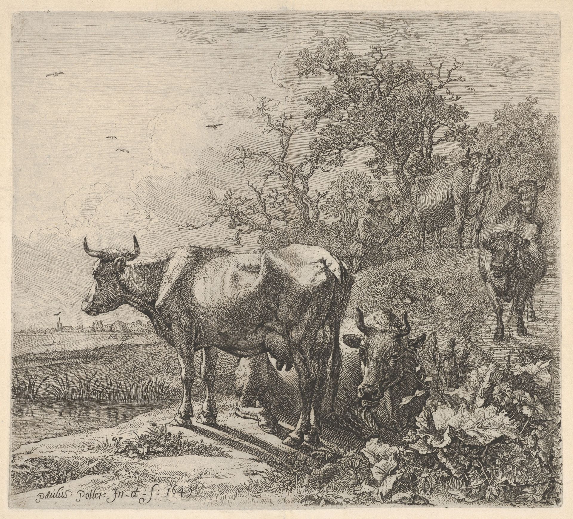 Cowherd driving three horned cattle before him; below, in the foreground, a recumbent steer and a standing steer, marsh and trees beyond by Paulus Potter