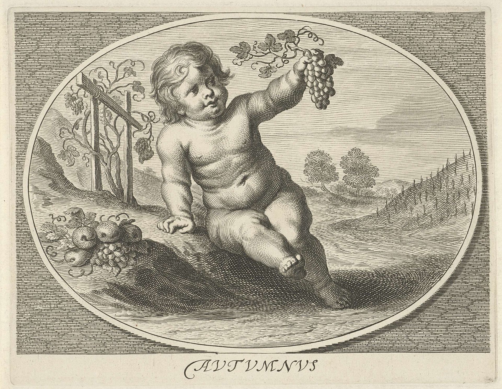 Herfst in gedaante van kind met druiventros en fruit in ovaal by Cornelis van (II) Dalen