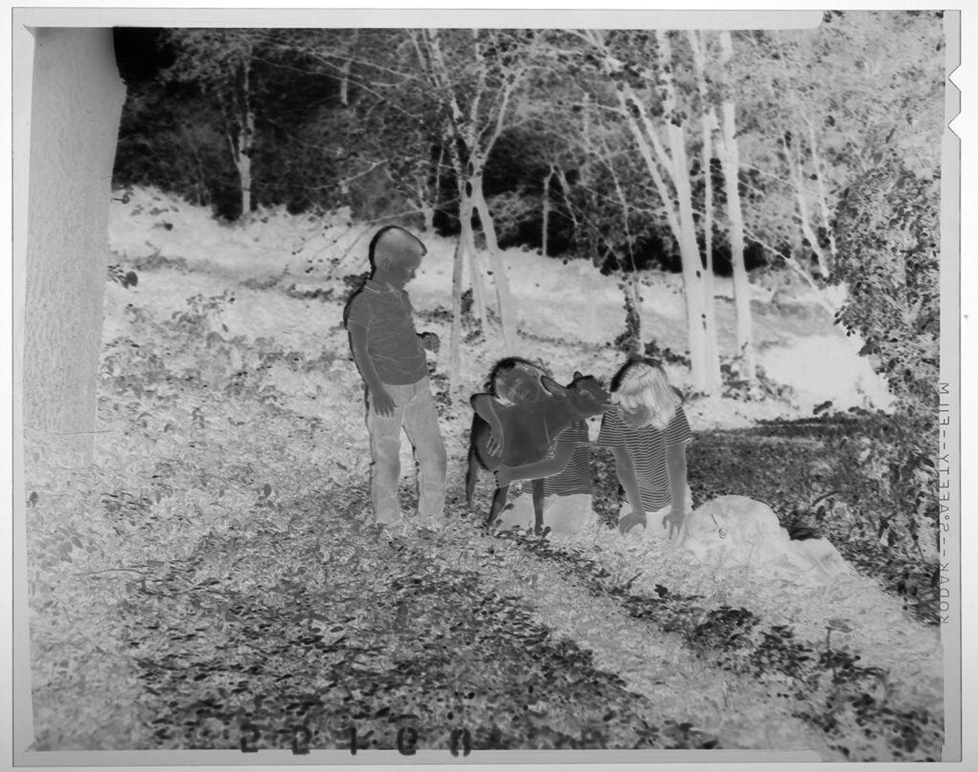 Untitled (three children posing with goat and dog outdoors) by Martin Schweig