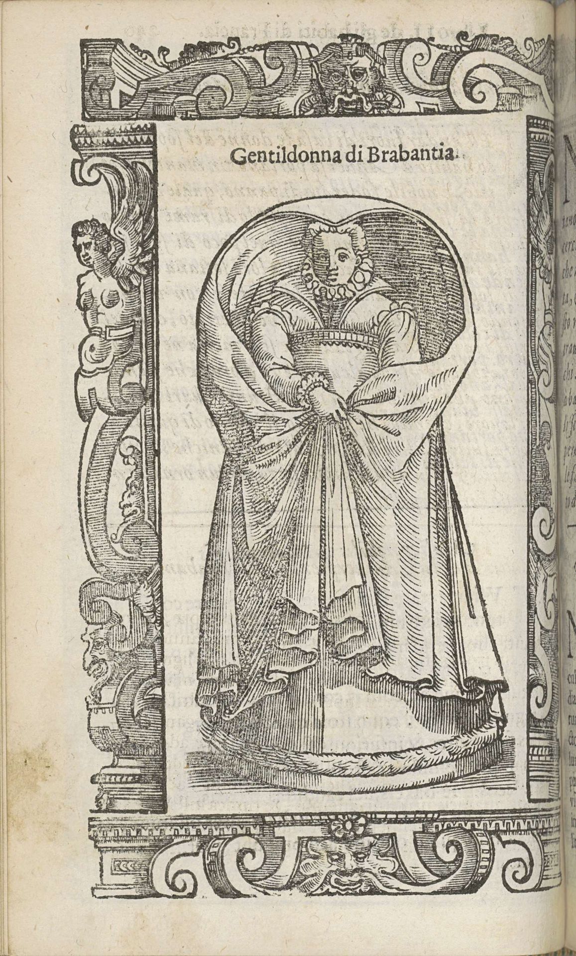 Gentildonna di Brabantia (Flandrensis) by Christoph Krieger