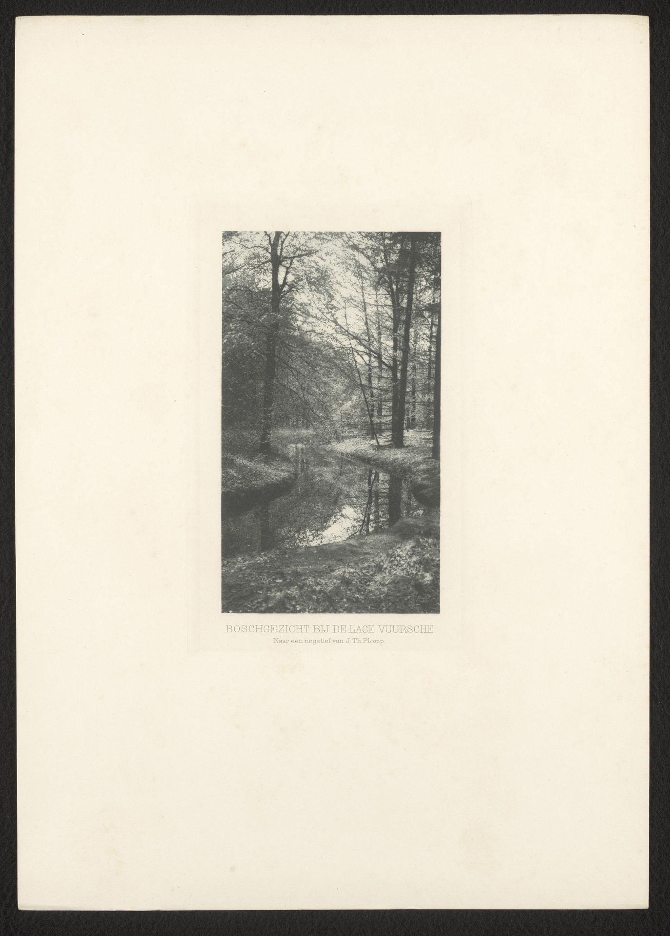 Bosgezicht bij Lage Vuursche by J.Th. Plomp