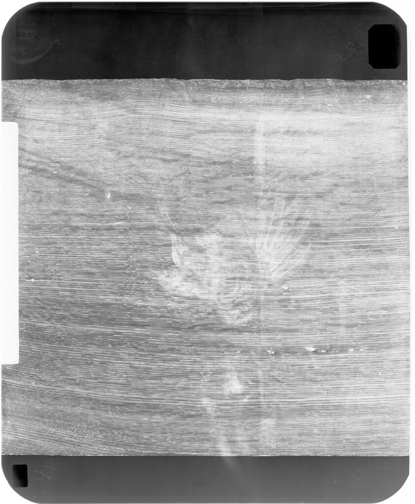 X-radiograph(s) of "Still Life with Birds I (wing outstretched)" by Artist of original: Jan Vonck