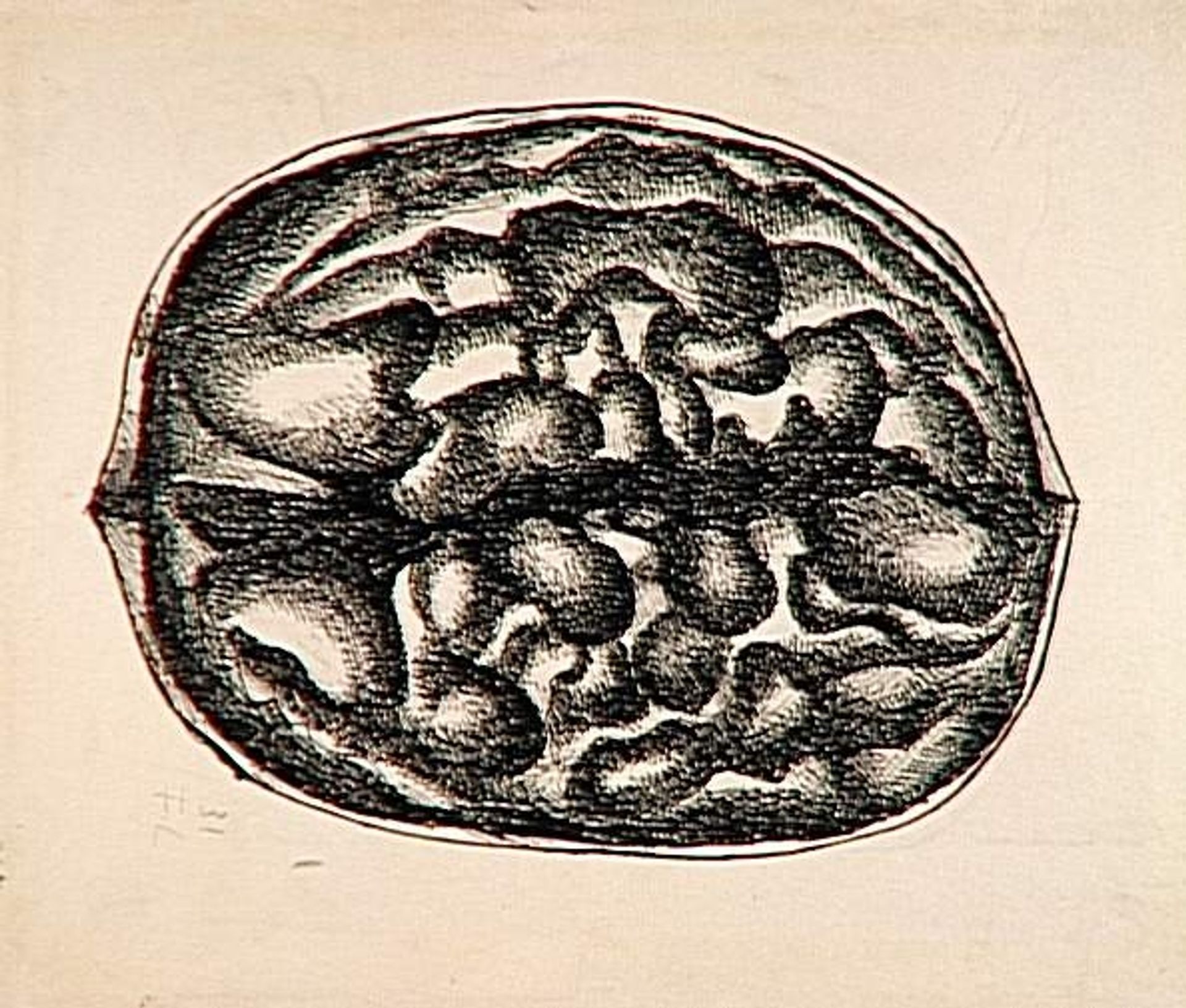 Study nuts by Fernand Léger