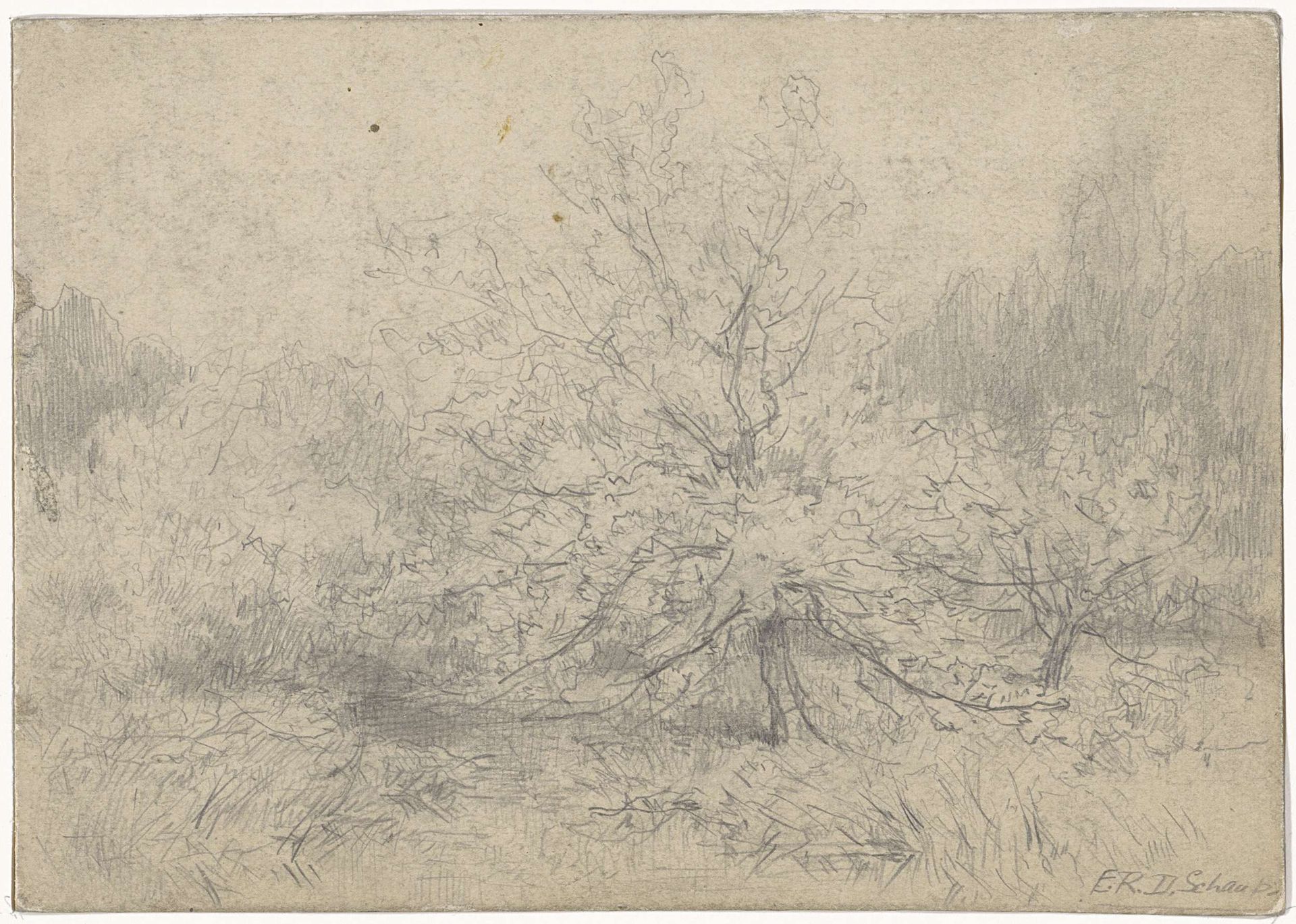 Landschap met een boom prominent in het midden by Egbert Rubertus Derk Schaap