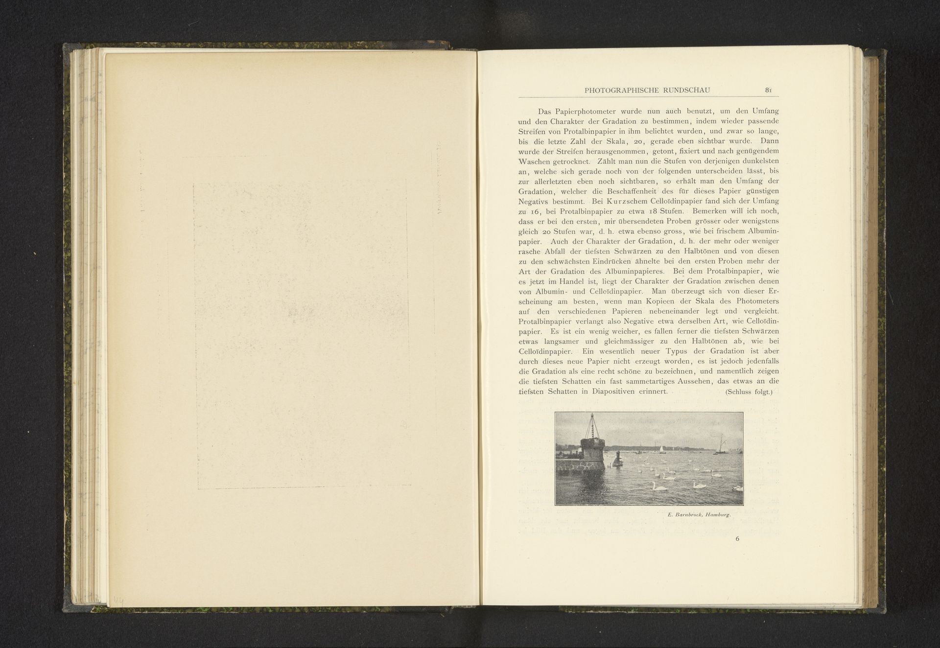 Zwanen (vermoedelijk) op de Elbe te Hamburg by E. Barnbrock