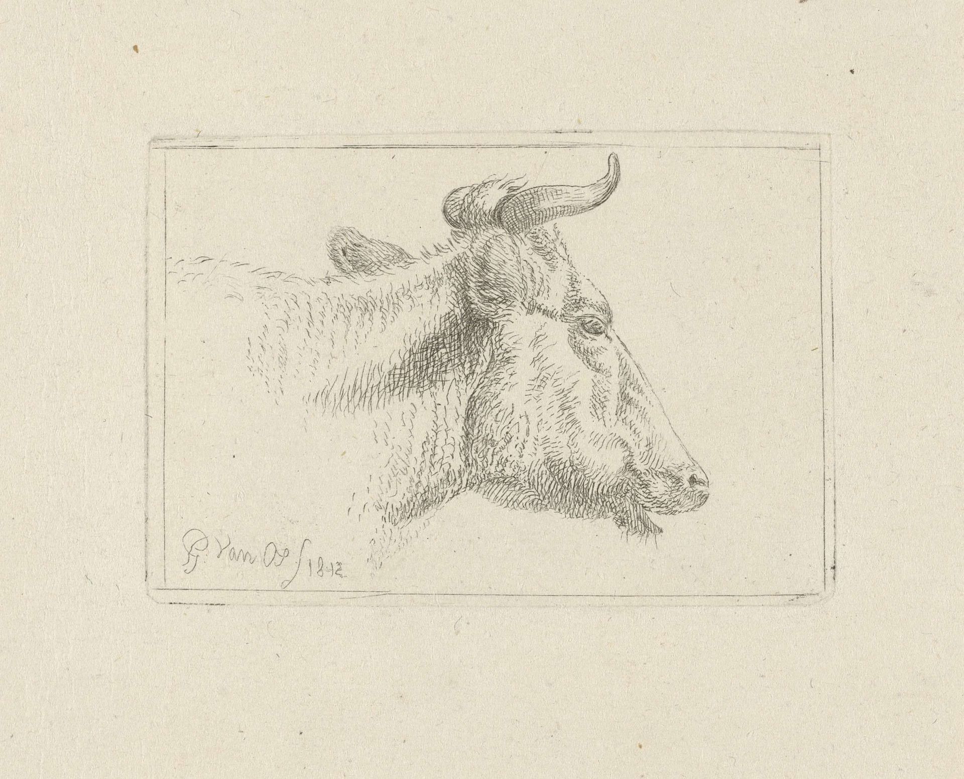 Koeienkop by Pieter Gerardus van Os