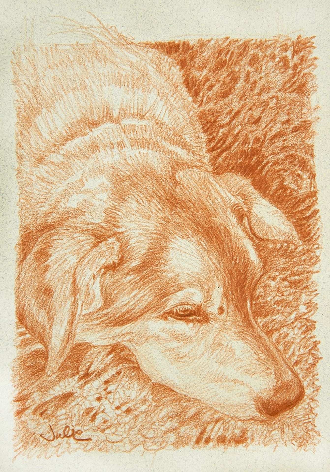 Afternoon Nap by Julie Bell