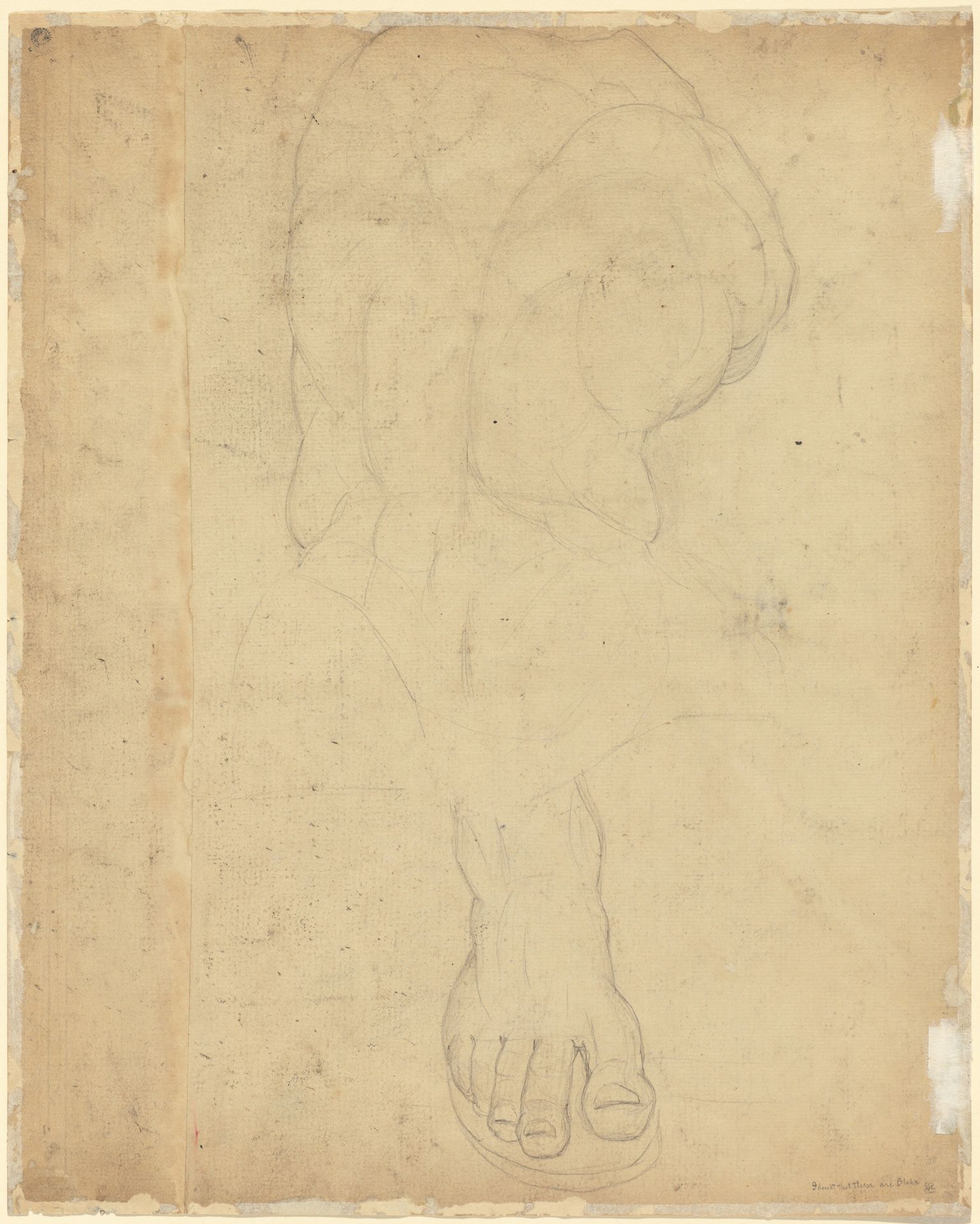 The Belvedere Torso [verso] by William Blake