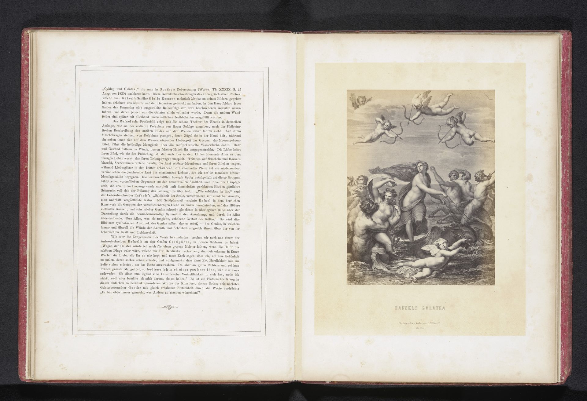 Fotoreproductie van een prent naar de Triomf van Galatea door Rafaël by Gustav Schauer