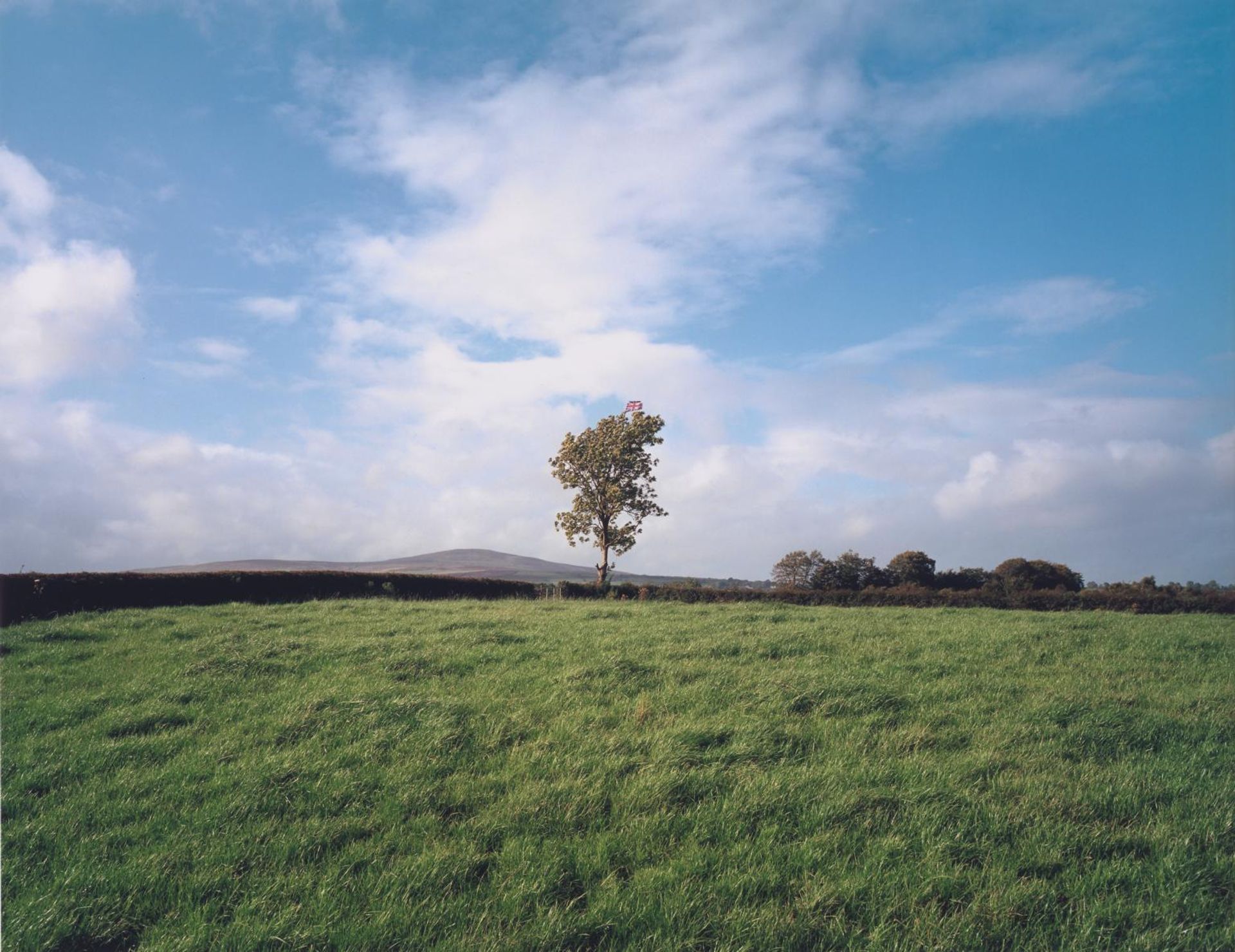 Union Jack Flag in Tree, County Tyrone by Paul Graham