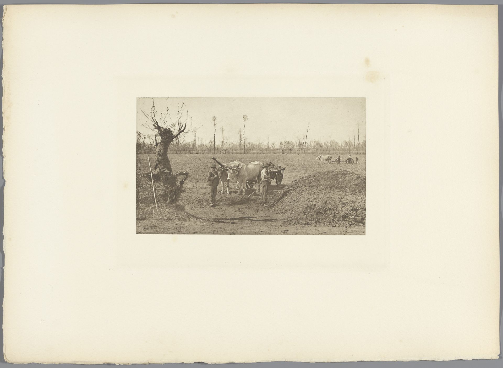 Boeren bij een ossenkar op een akker, Pavie by A. Bucquet