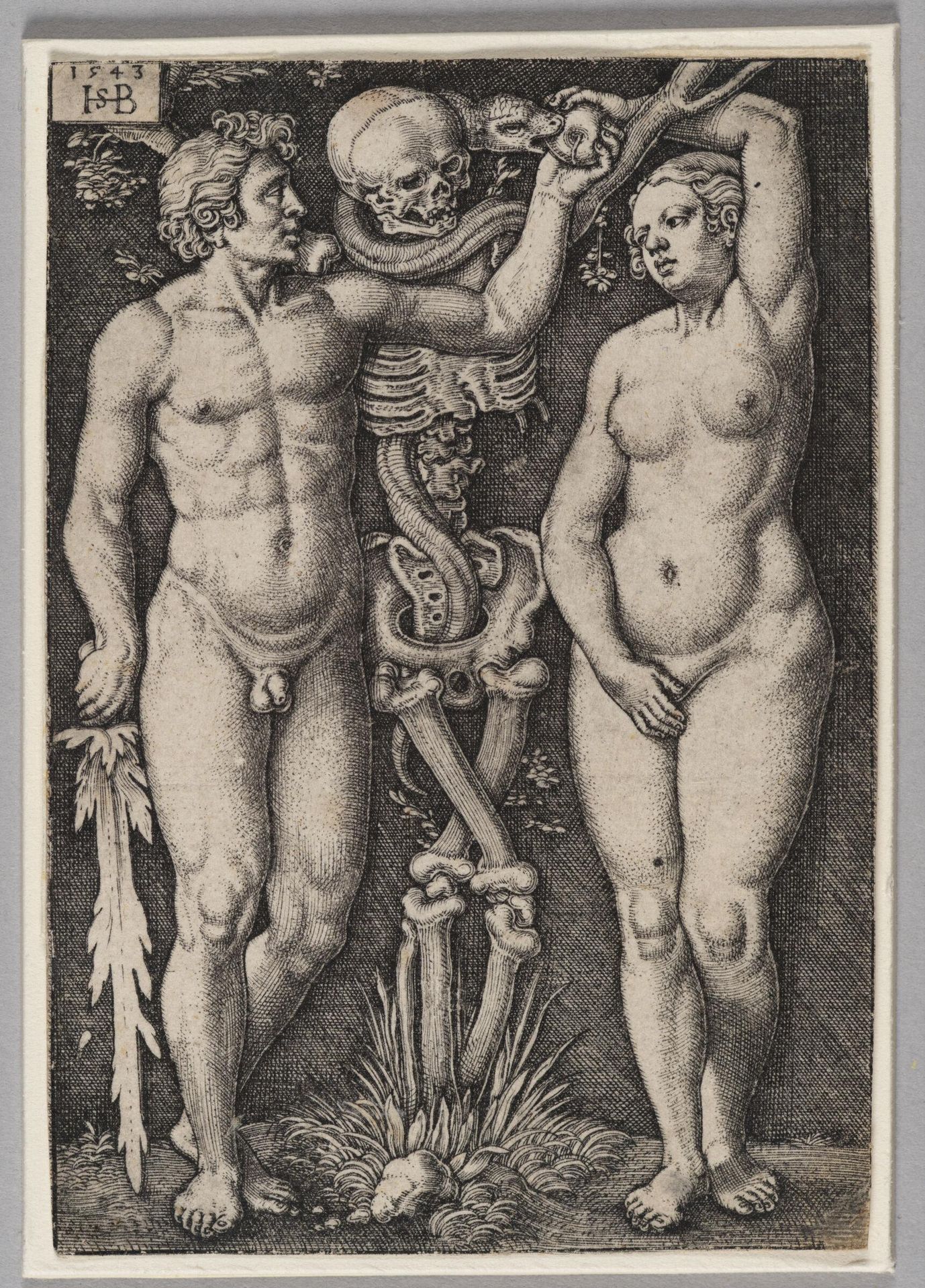 Adam and Eve by Sebald Beham
