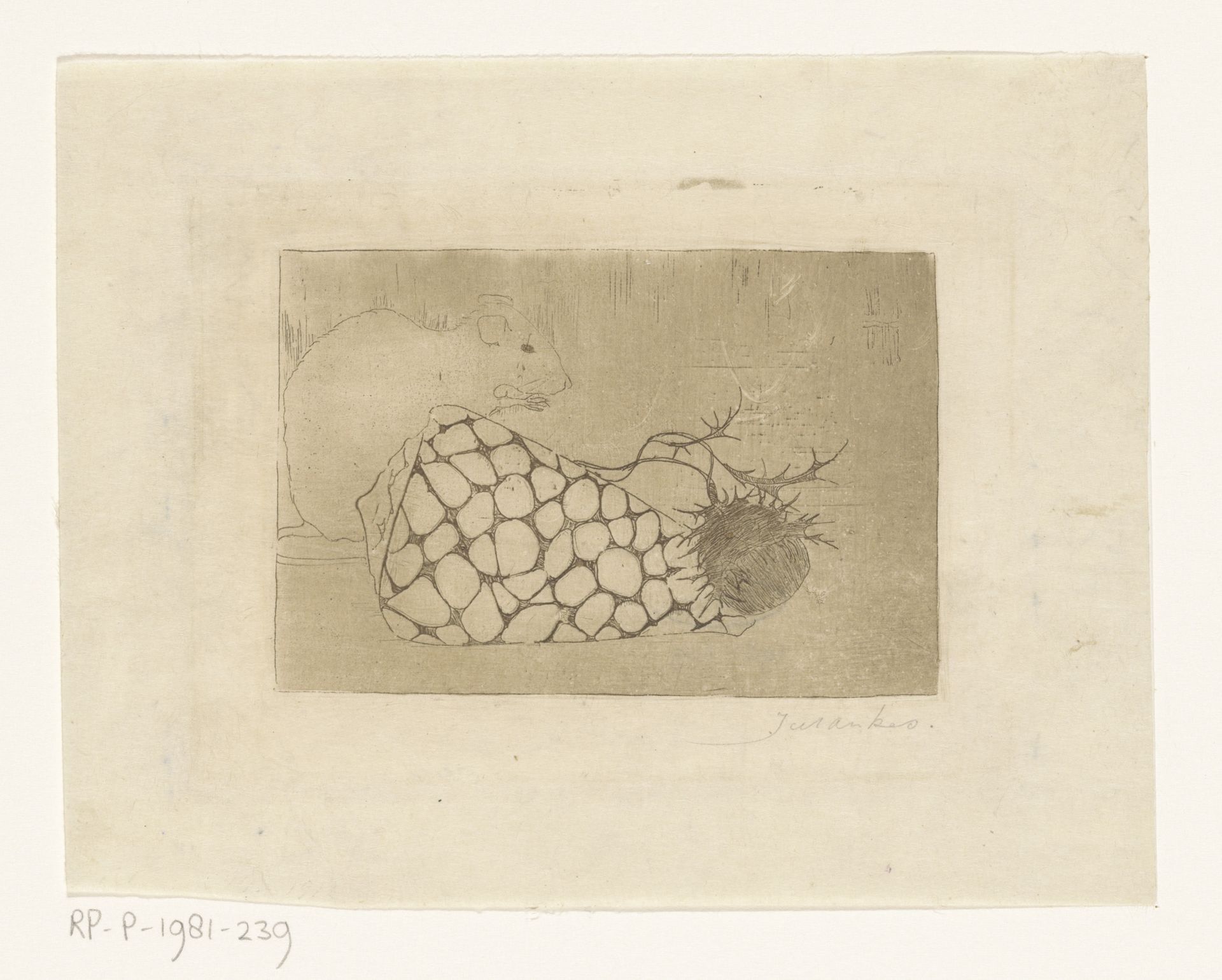 Muis, schelp en distel by Jan Mankes