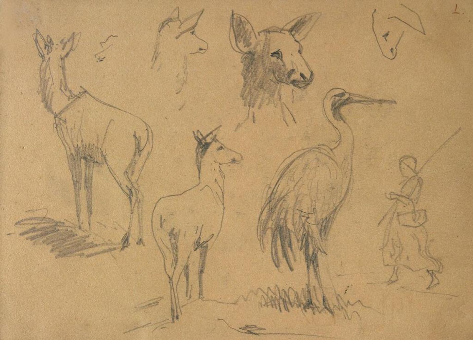 Bird; Animals; Figure; verso: Studies of a Goat by John Singer Sargent