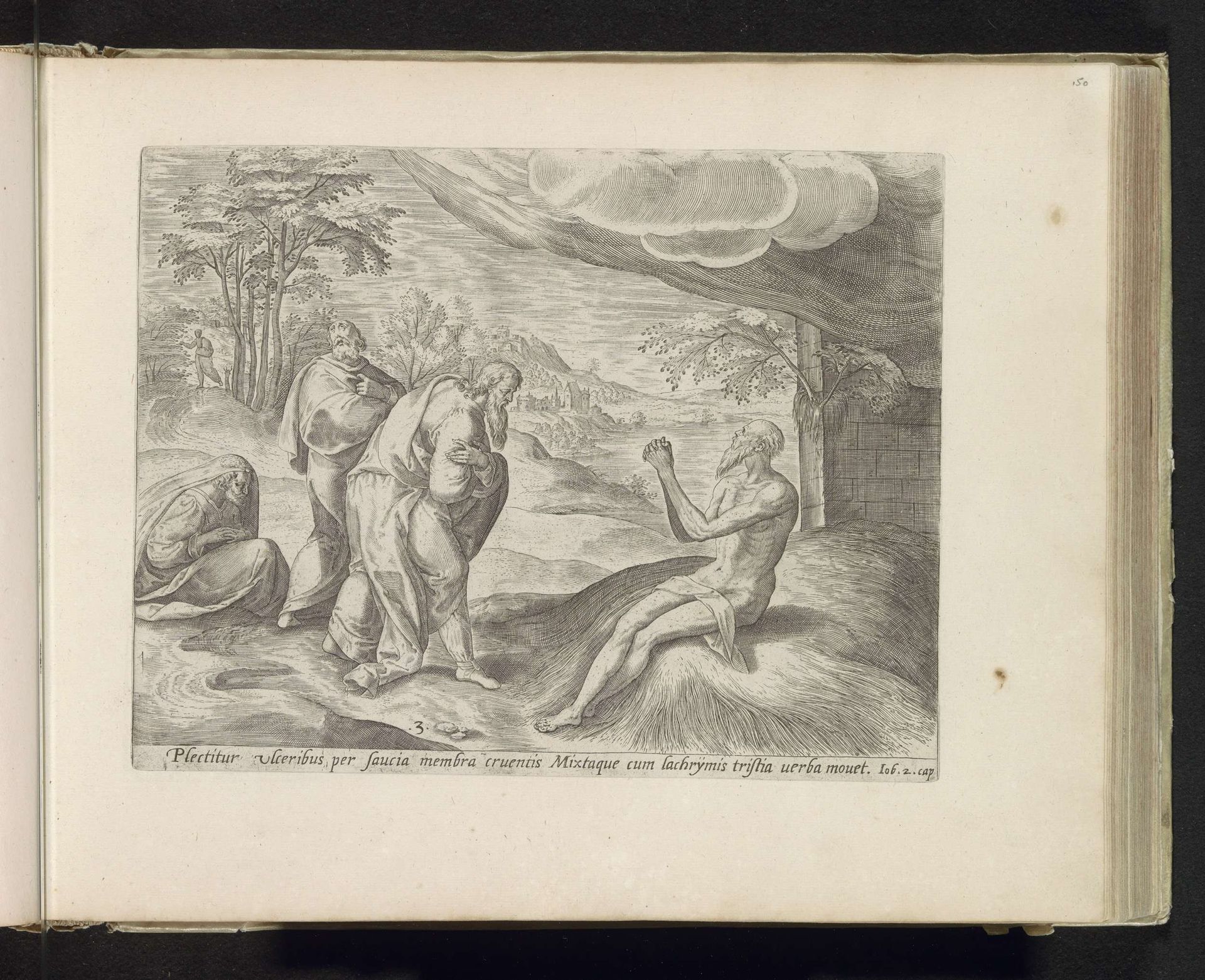 Job op de mesthoop by Jan (I) Snellinck