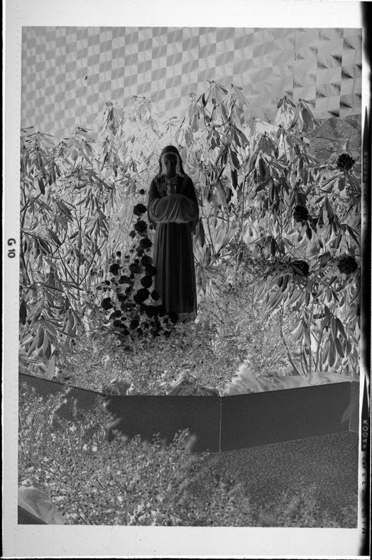 Untitled (religious statue in garden) by Robert Burian