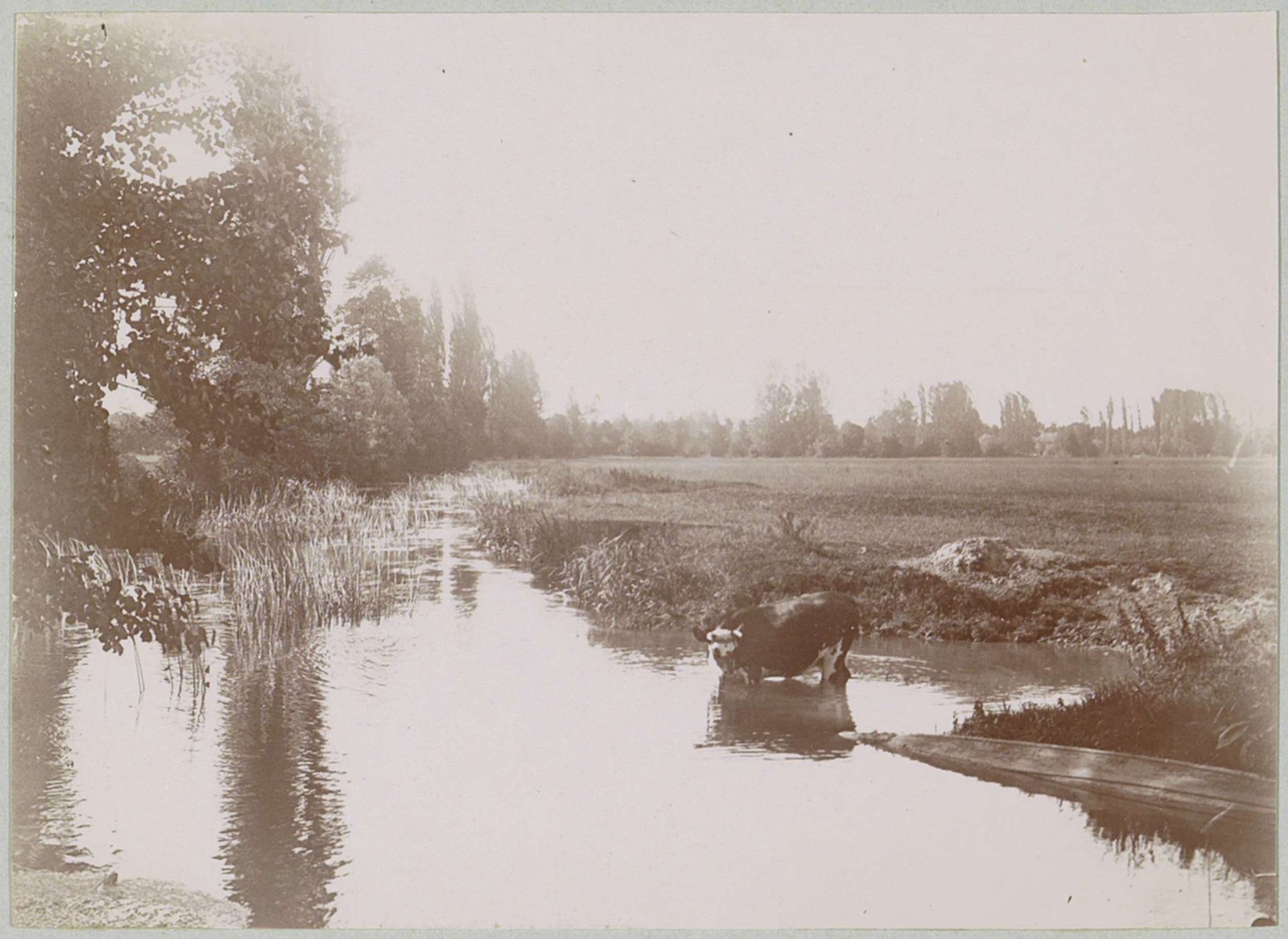 Landschap met koe in een beek, vermoedelijk bij Lisieux by Delizy