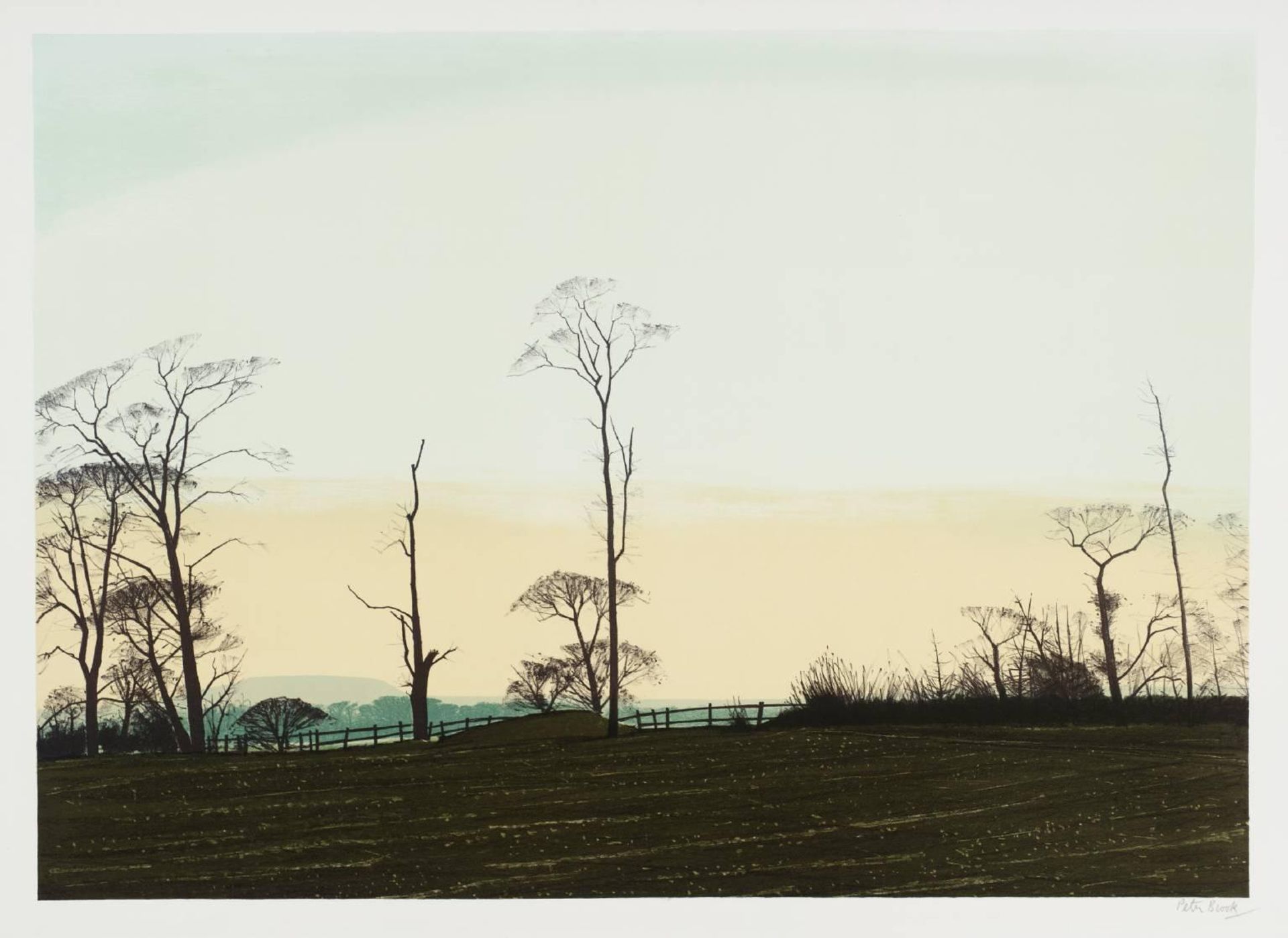 NOVEMBER Late Afternoon by  Peter Brook