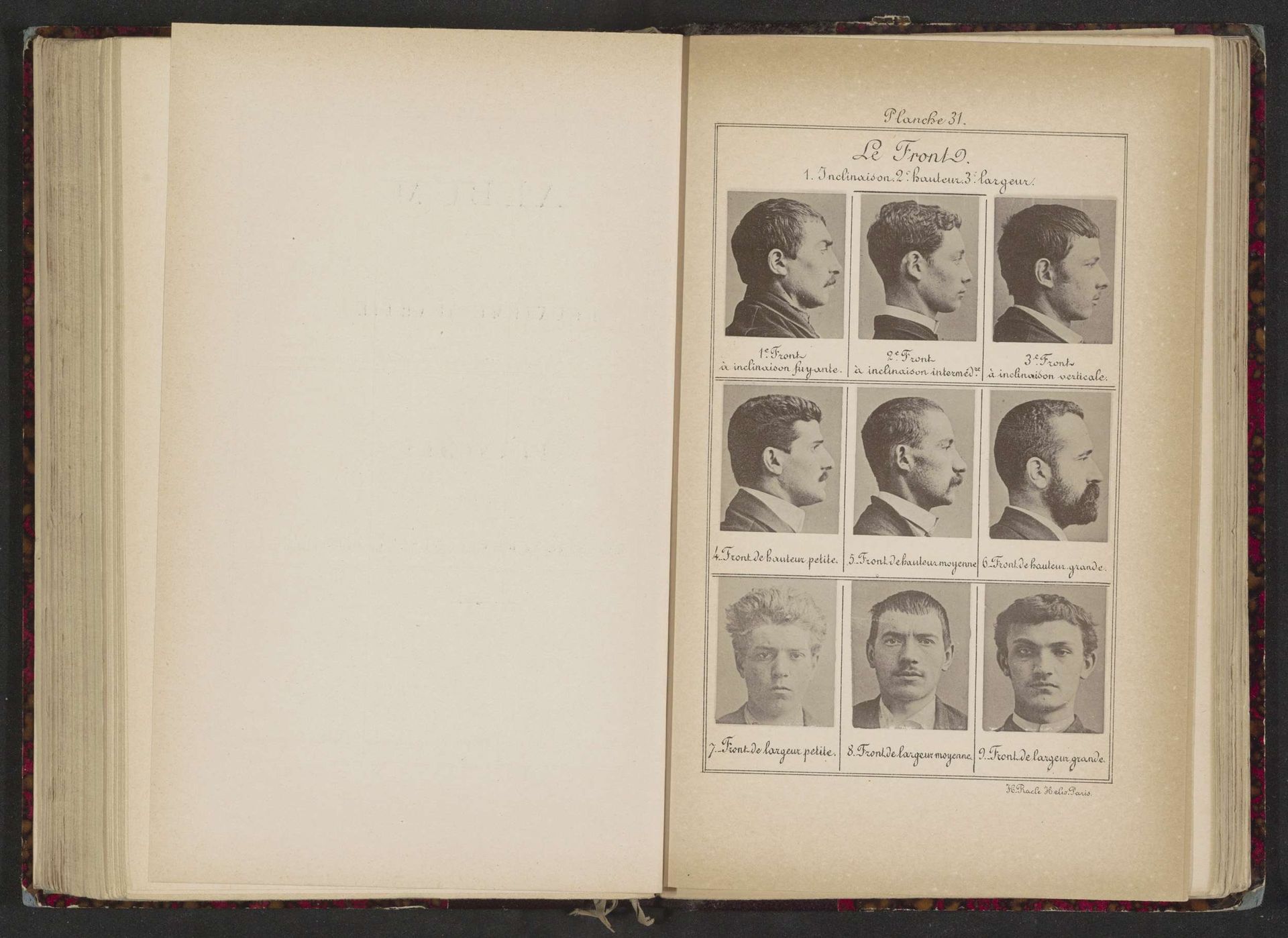 Negen mannenhoofden, gerangschikt op de vorm van hun voorhoofd by Anonymous