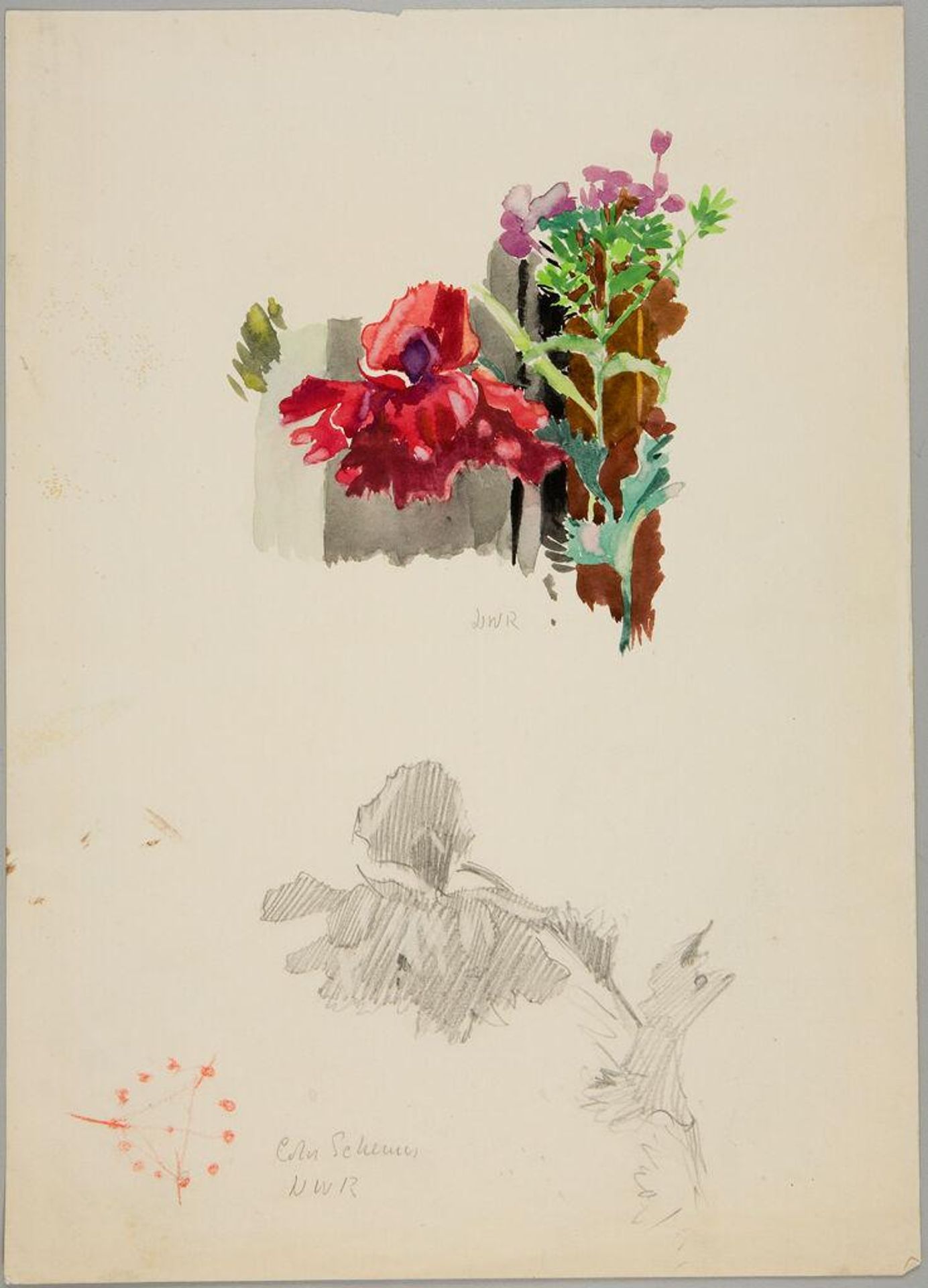 Two Flower Sketches by Denman Waldo Ross