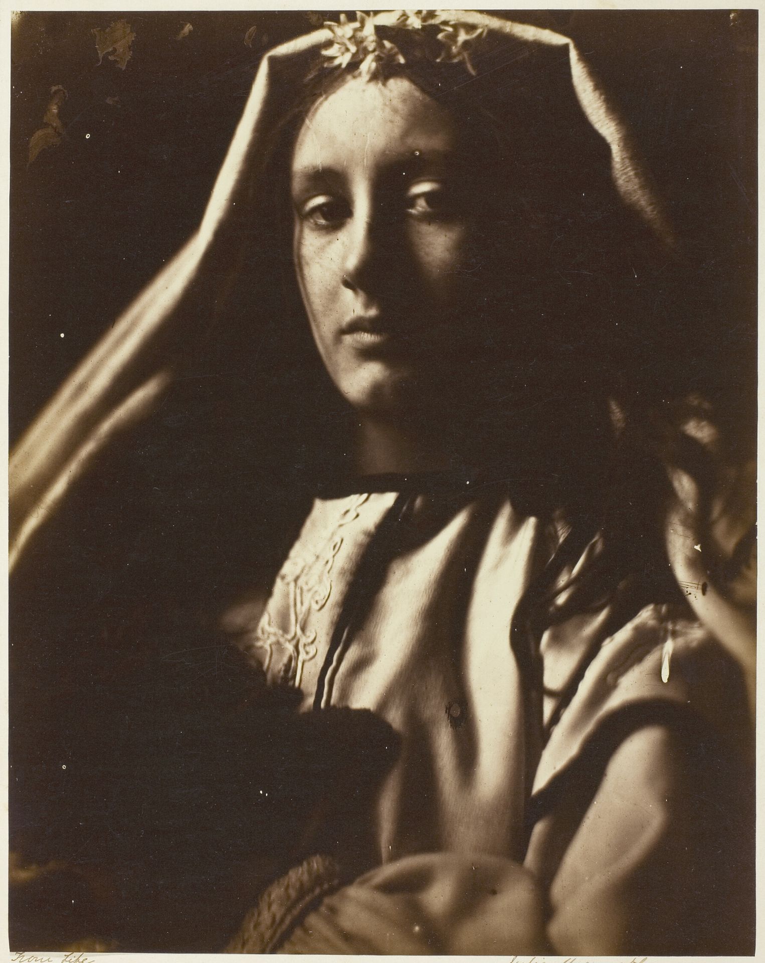 The Neopolitan by Julia Margaret Cameron